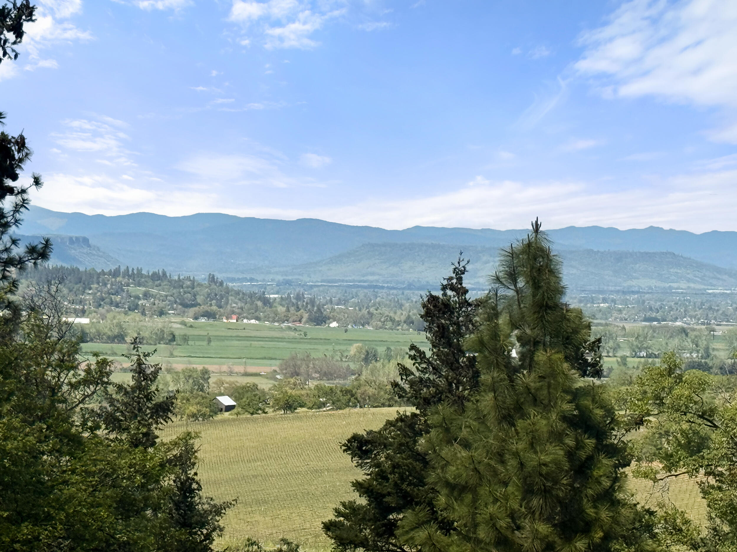 Vineyards At Stage Pass, The - Land
