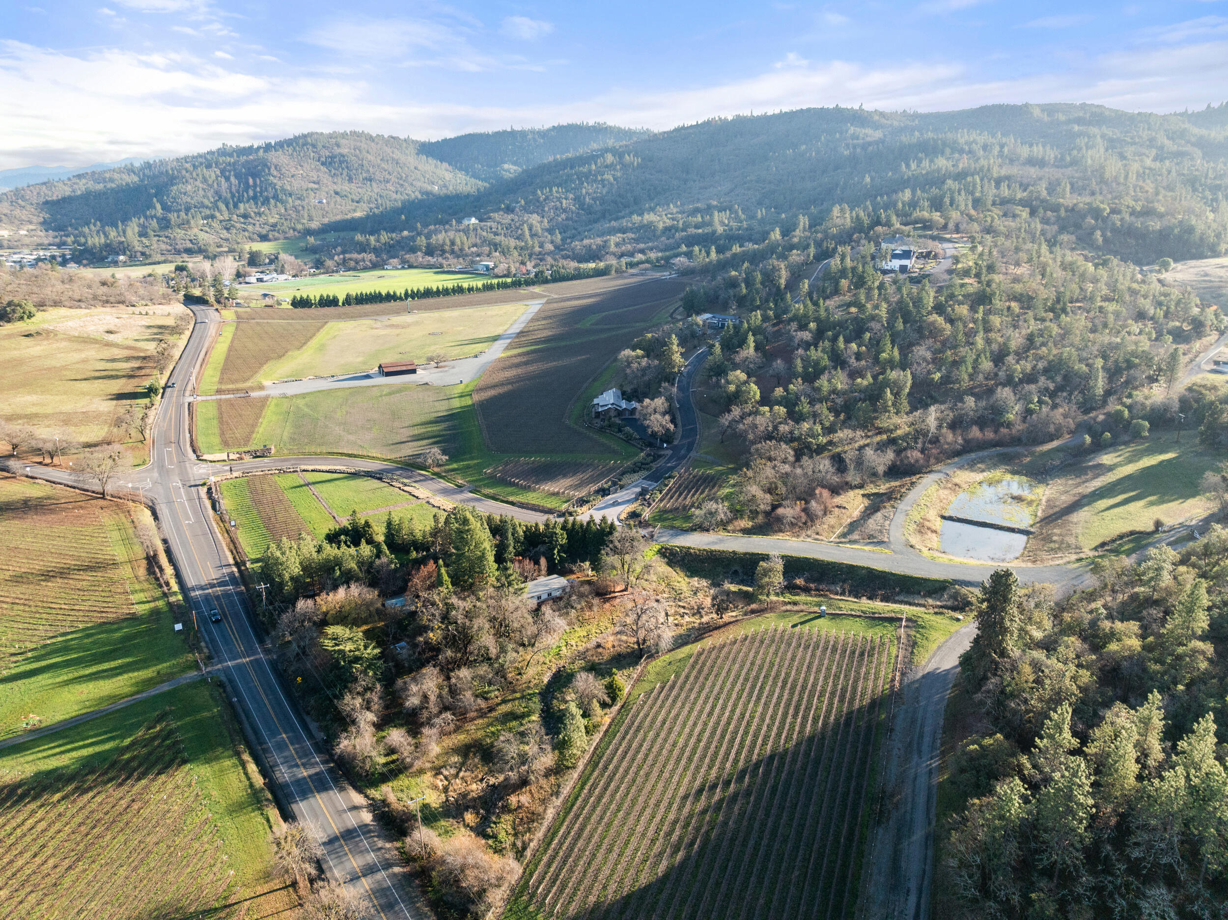 Vineyards At Stage Pass, The - Land