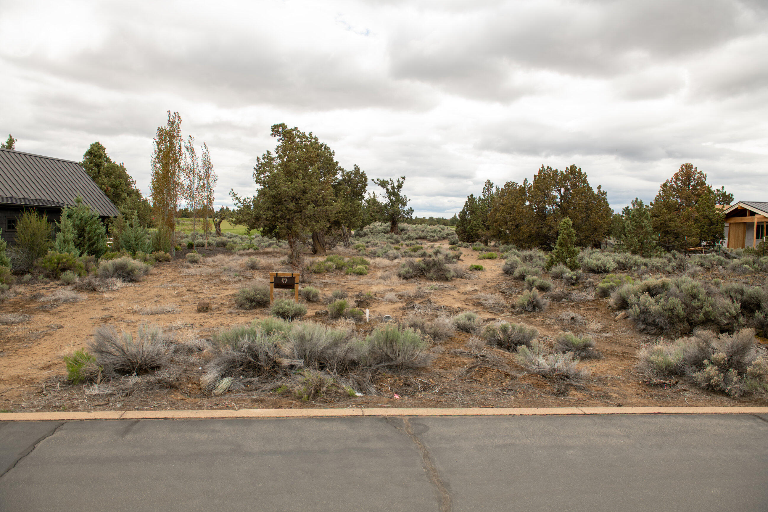 Pronghorn - Land