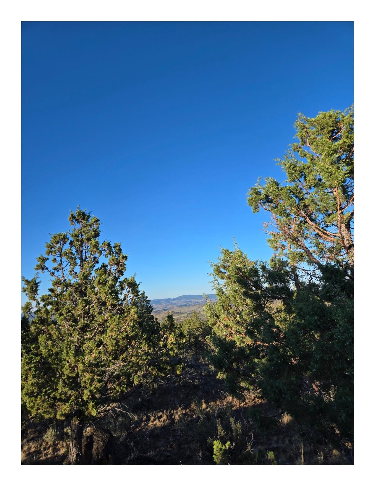 Riverside Ranch - Land