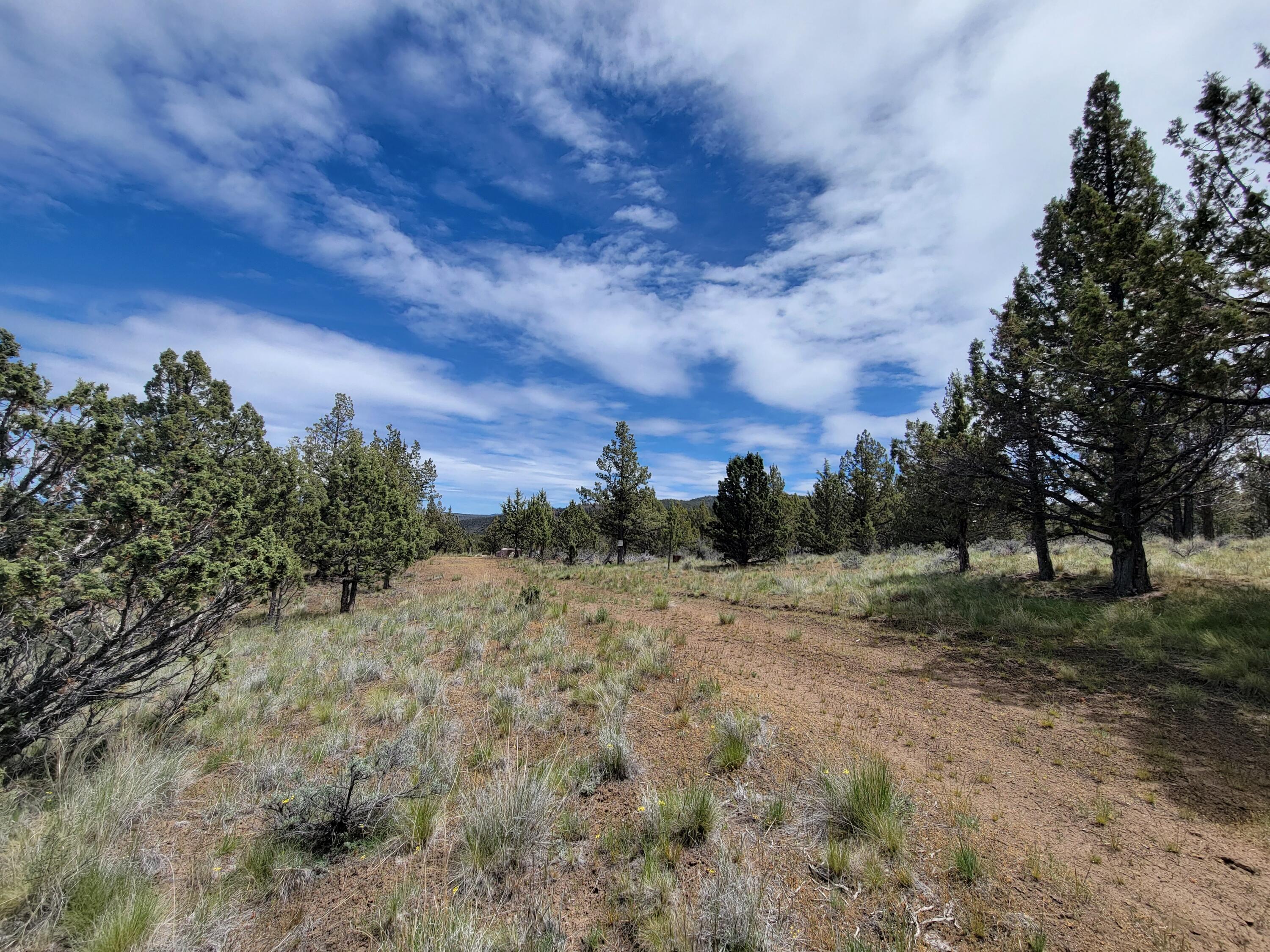 Riverside Ranch - Land