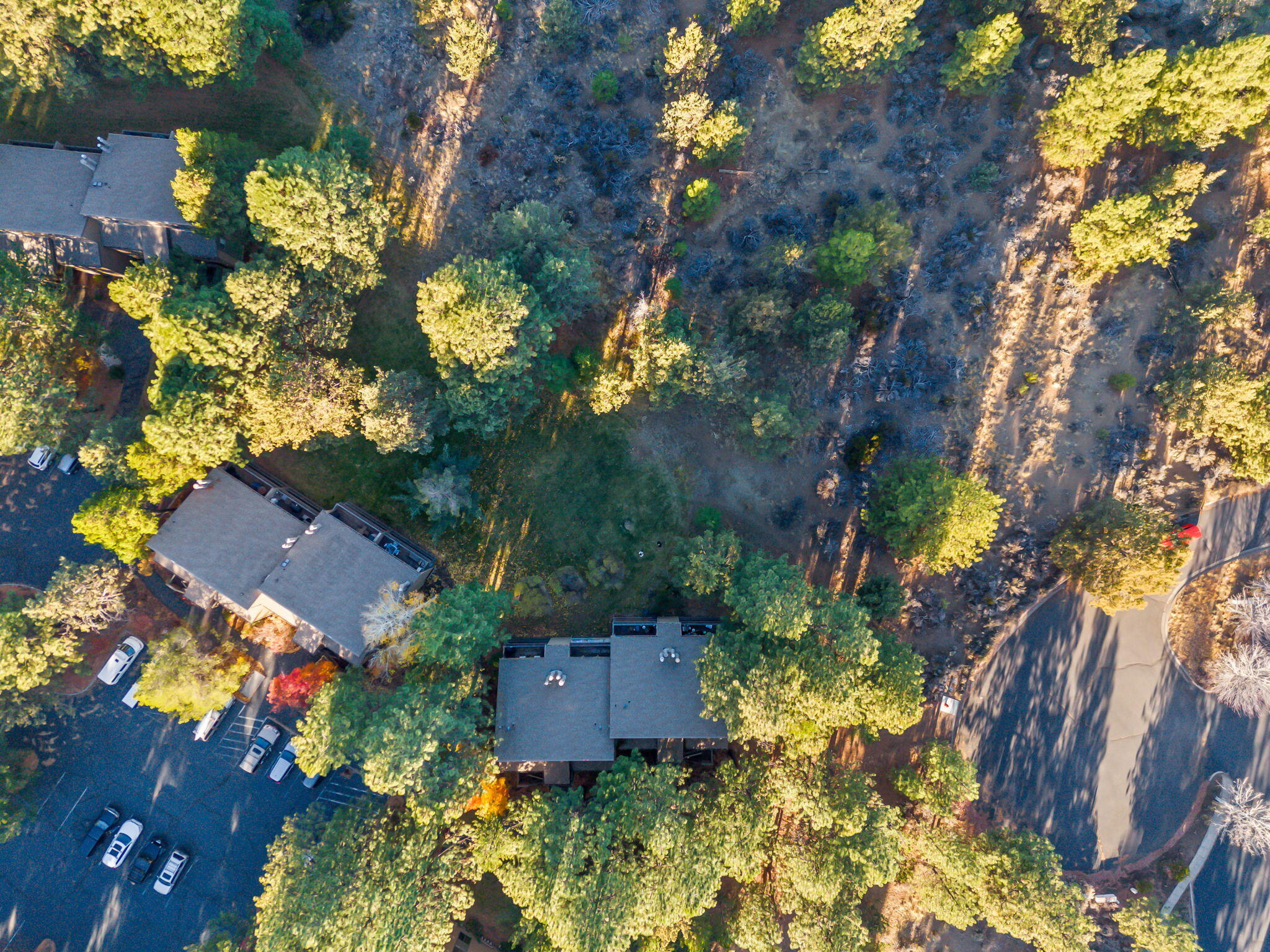 Mt Bachelor Village - Residential
