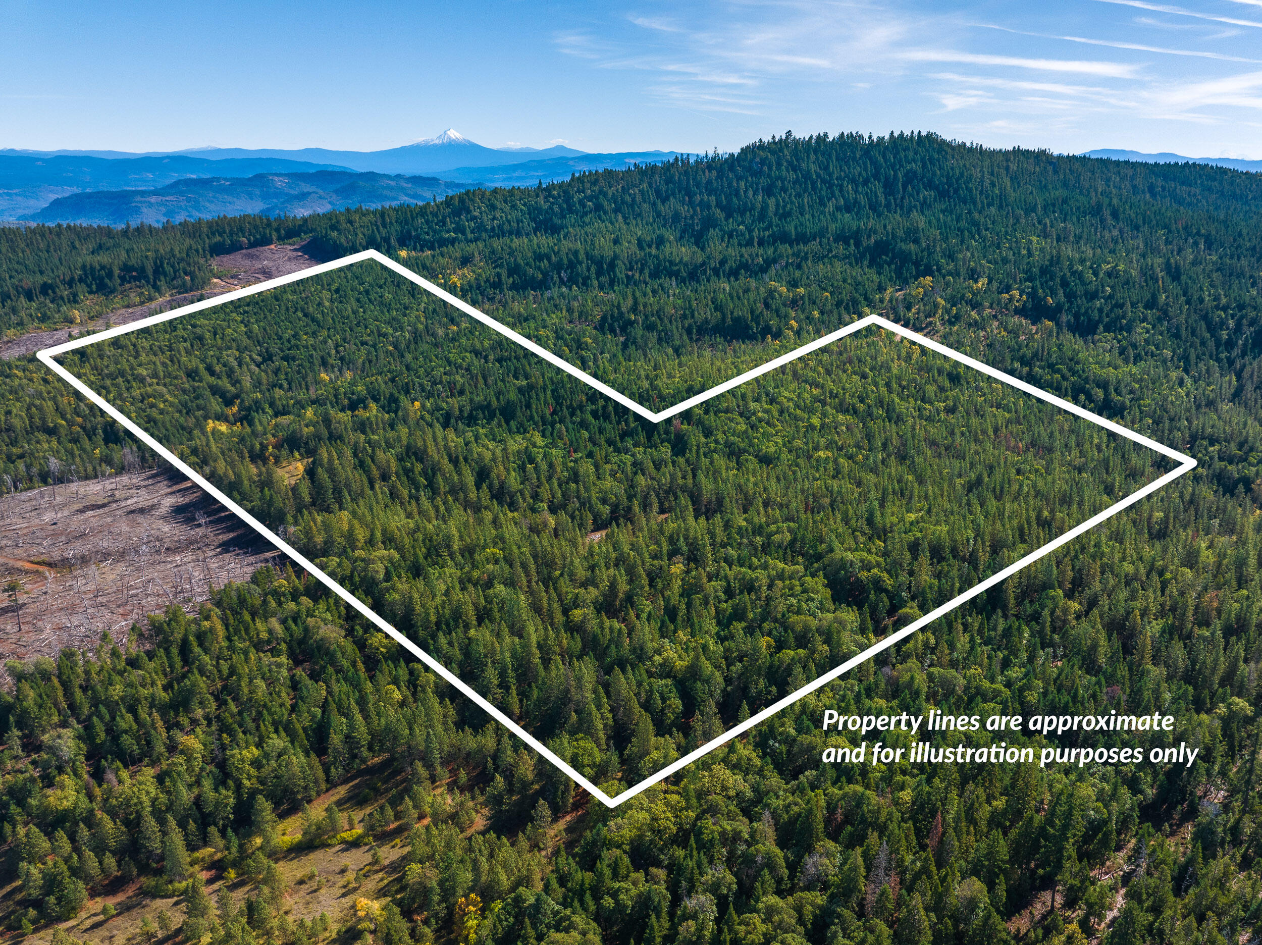 Welcome to the Paradise Creek 160 - a 160 acre timbered offering that includes great investment potential and recreation! Set northwest of Shady Cove off of the Trail-Tiller Highway, this property presents easy access, a varied landscape, and dense forests - a 2011 cruise quoted a stocking of white fir at 127,800 board feet, Douglas Fir at 424,800 board feet, and Pine/Cedar at 291,200 board feet. The seller believes that these estimates are not accurate and need to be verified by Buyer. Buyer to complete own due diligence. Seller, nor seller's agent warranty these estimates. This tract offers a diverse landscape with level to rolling terrain, meadows, a spring and a creek. The land is rich in character and serves as an excellent habitat for big game. Whether you're an outdoor enthusiast or investor, this property provides great opportunities.