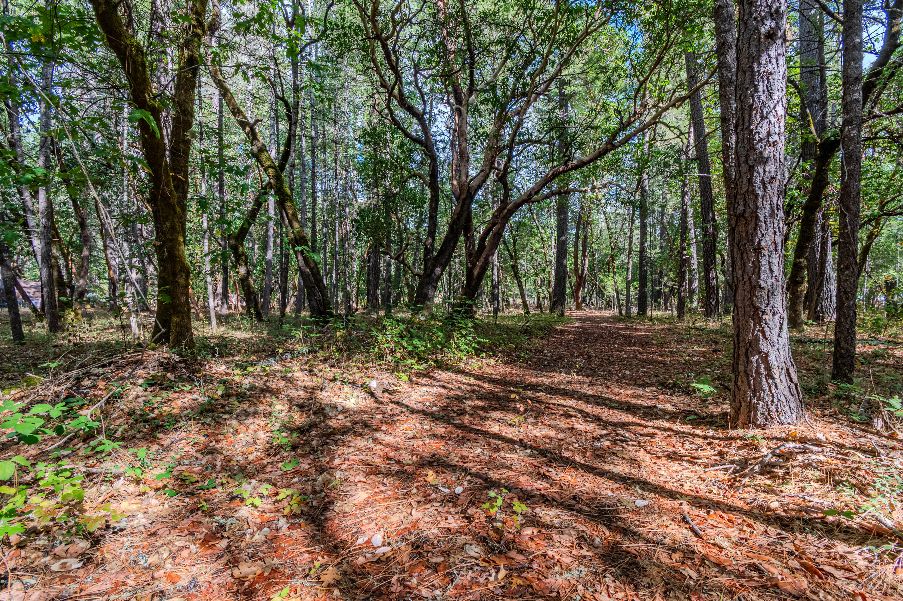 Peaceful Valley Acres Subdivision - Land