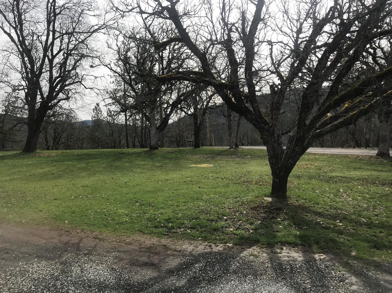 Edgewood - Land