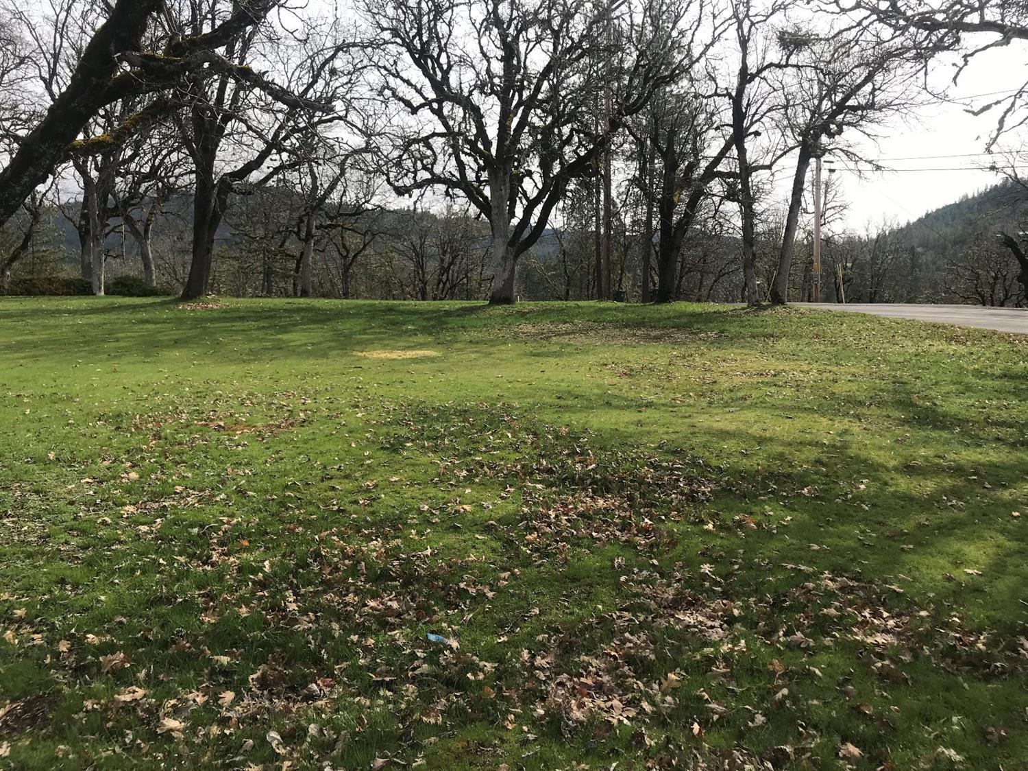 Very easy parcel to develop with community sewer - we are told a shared well but we have no info on that and power in the street. If you happen to build a garage below with home above you have possible river views. Buyer to complete due diligence.