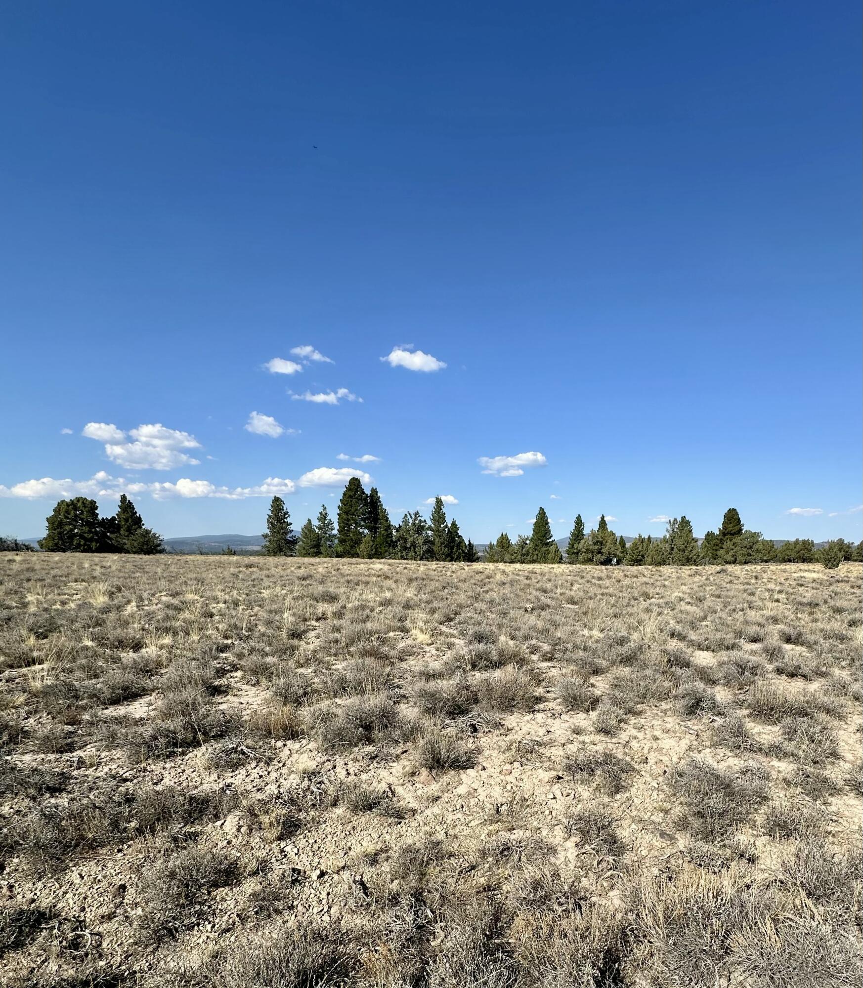 Nimrod River Park - Land