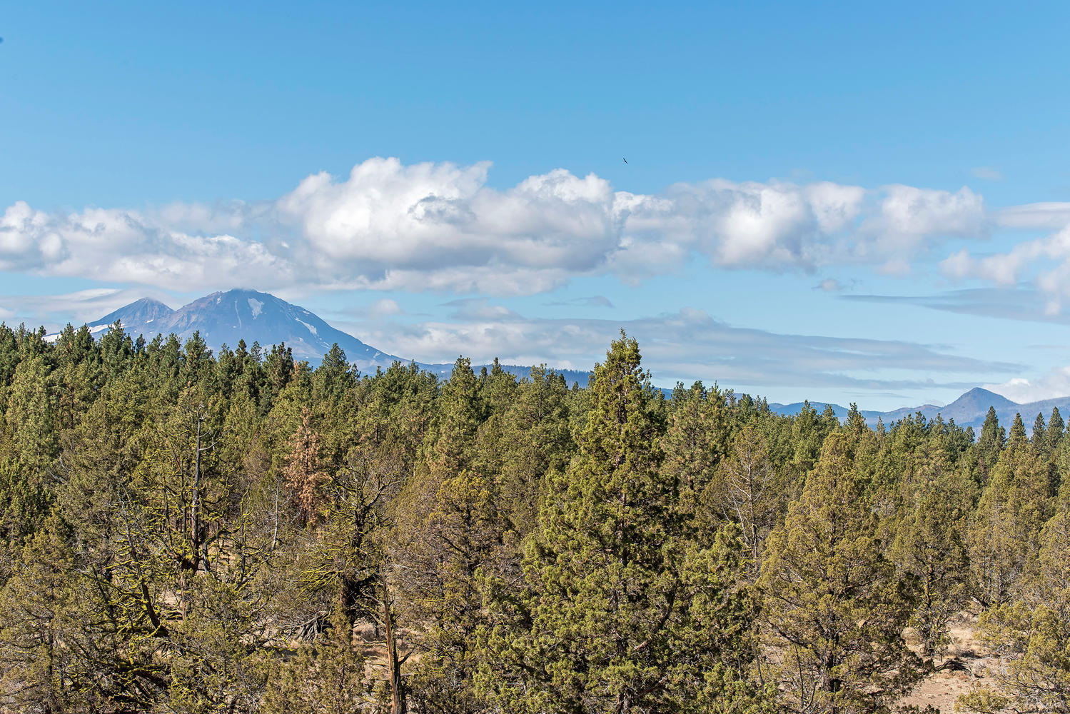 Wild Horse Ridge - Residential