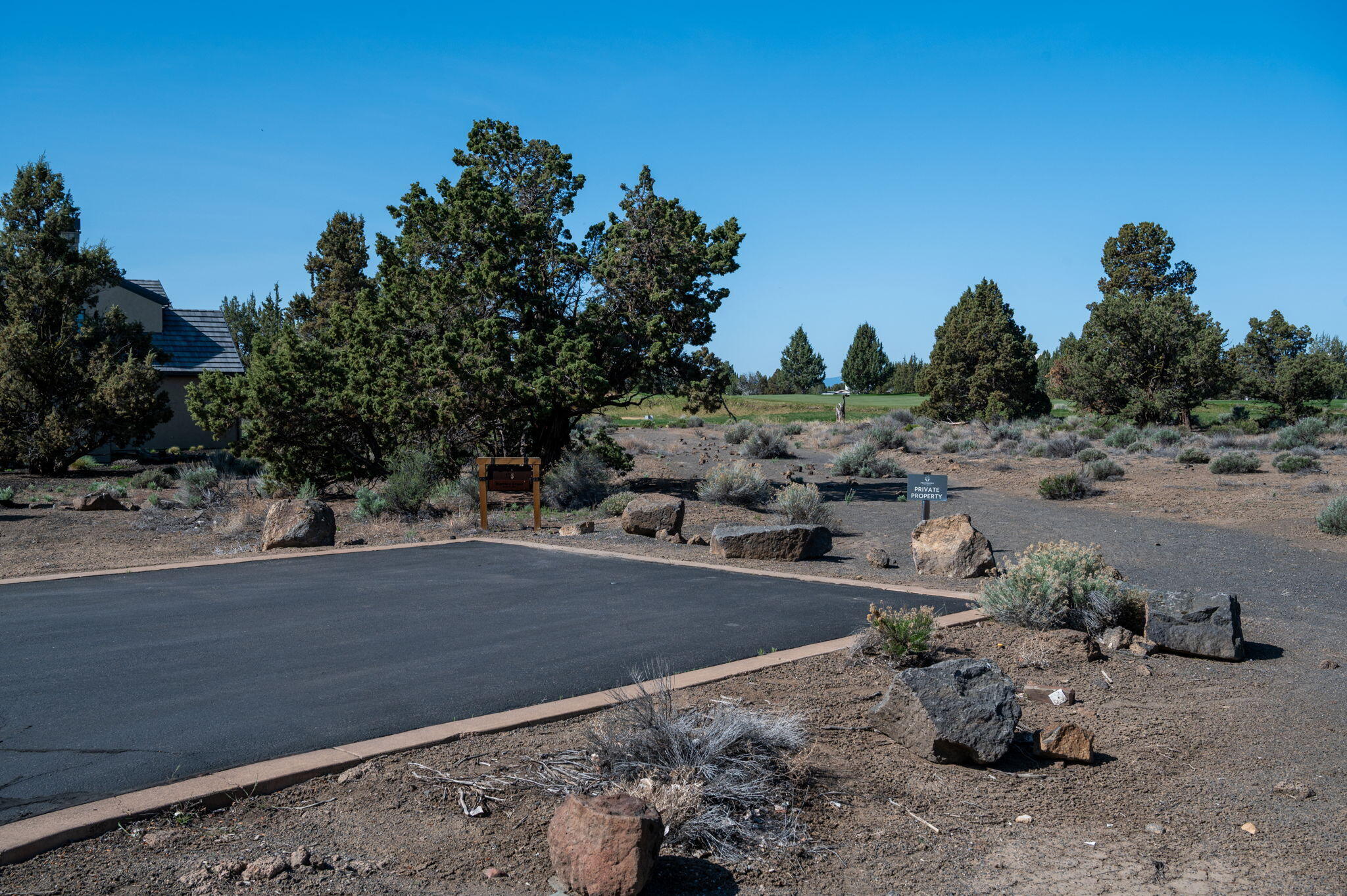 Pronghorn - Land
