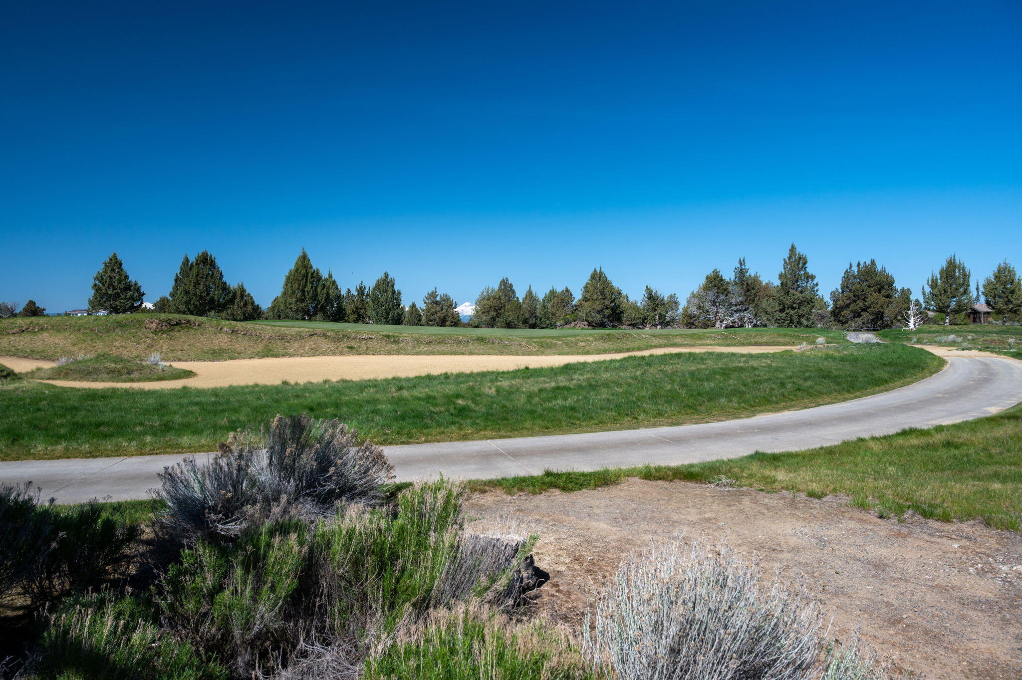 Pronghorn - Land