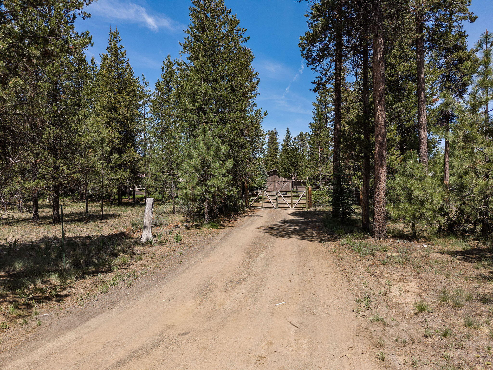 Tall Pines - Residential
