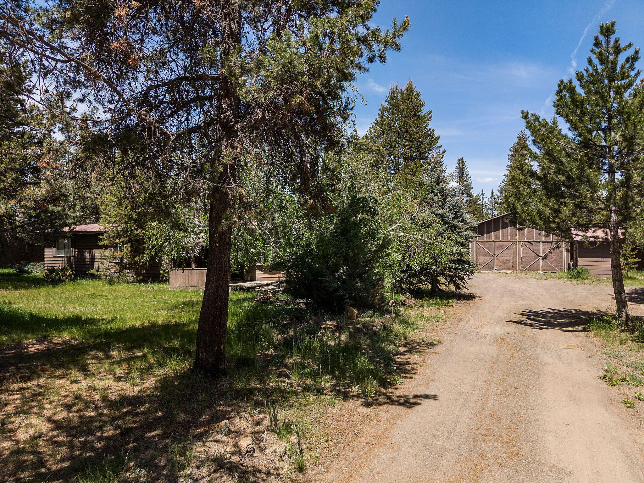 Tall Pines - Residential