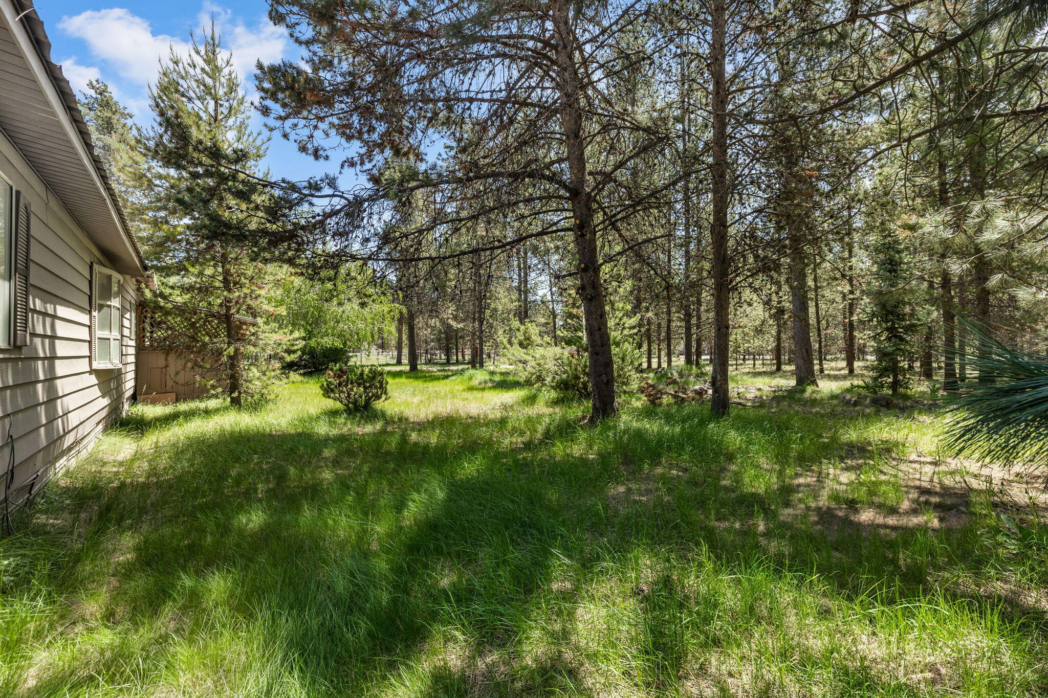 Tall Pines - Residential