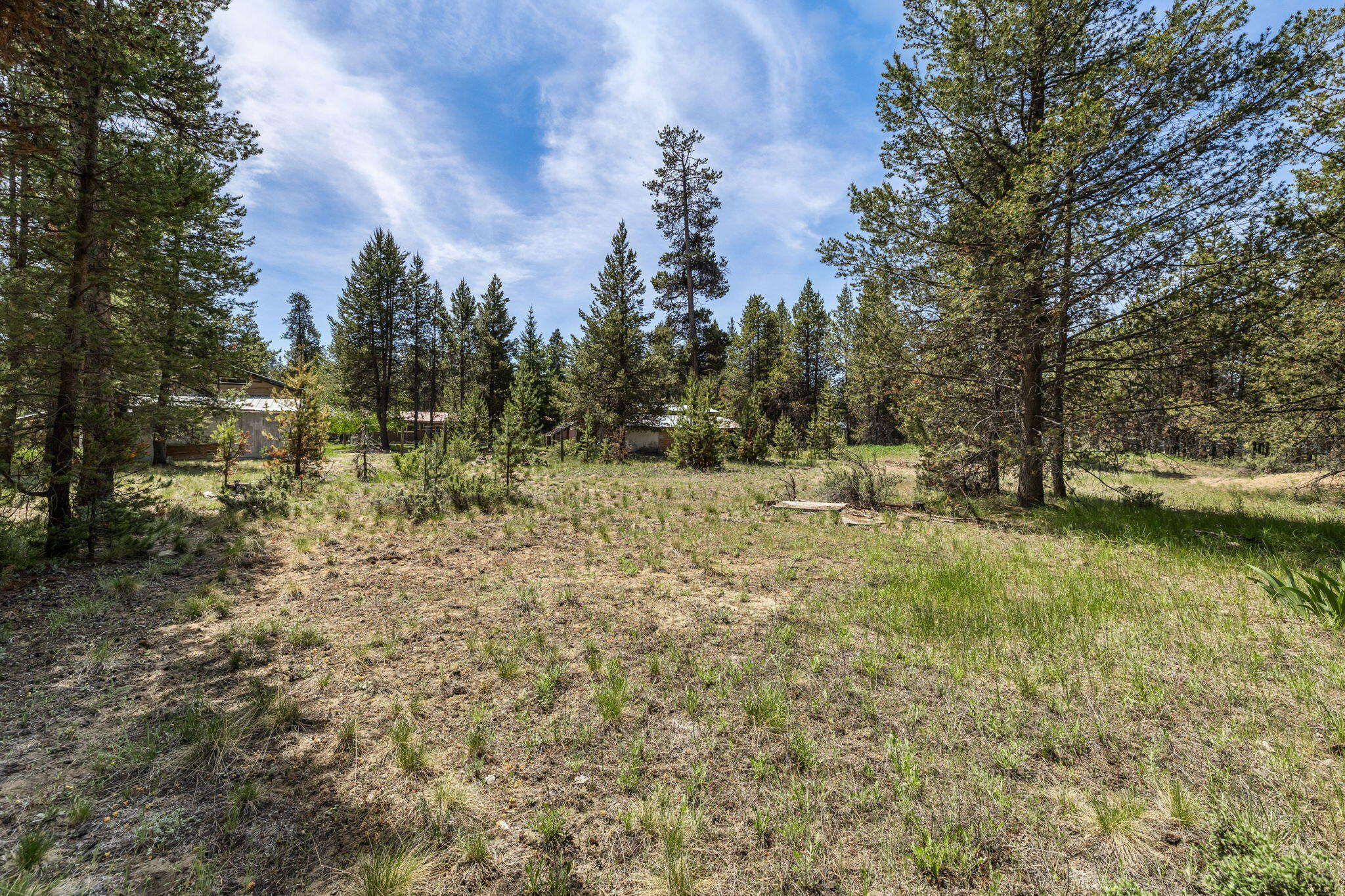 Tall Pines - Residential