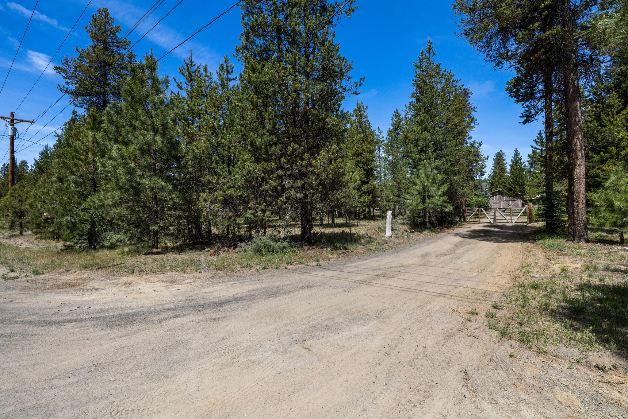Tall Pines - Residential