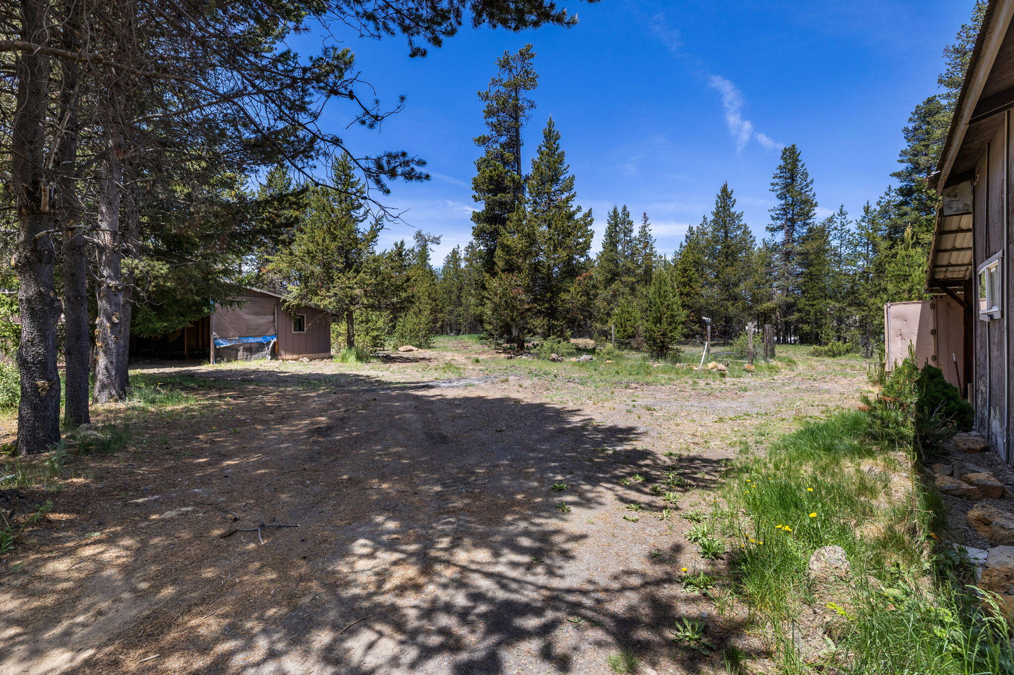 Tall Pines - Residential