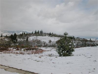 This is a beautiful 2.5 acre lot located in a desirable neighborhood in the City of Ashland. It is directly across the street from a 20 acre City owned open-space area. This parcel has future developement potential. It will be the responsibility of Buyers or buyer's representatives to check with the City of Ashland regarding said potential development. Property is currently being sold as one tax lot, allowing buyer to design and develop into separate tax lots per City of Ashland's planning standards.