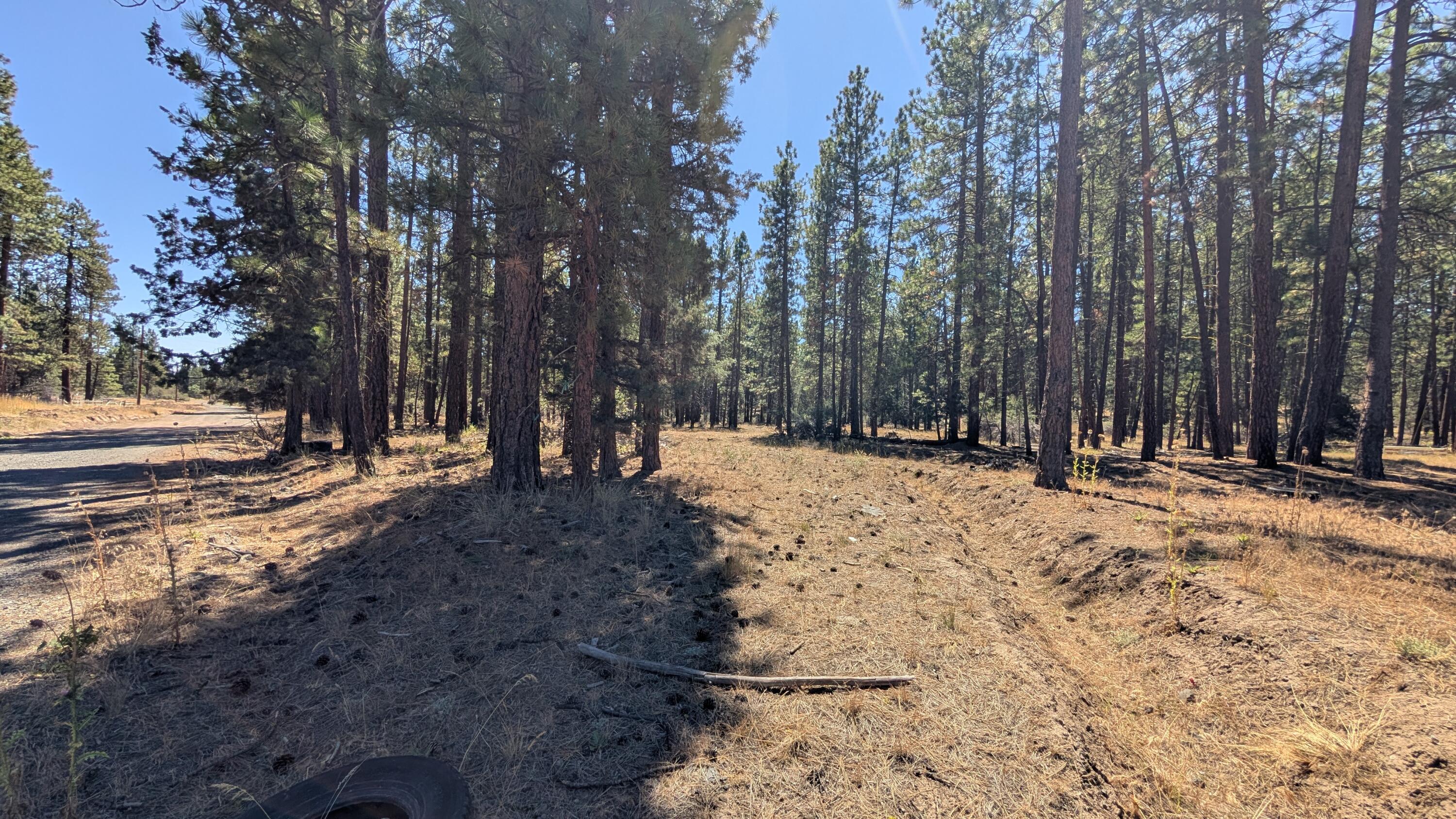 Klamath Forest Estates - Land