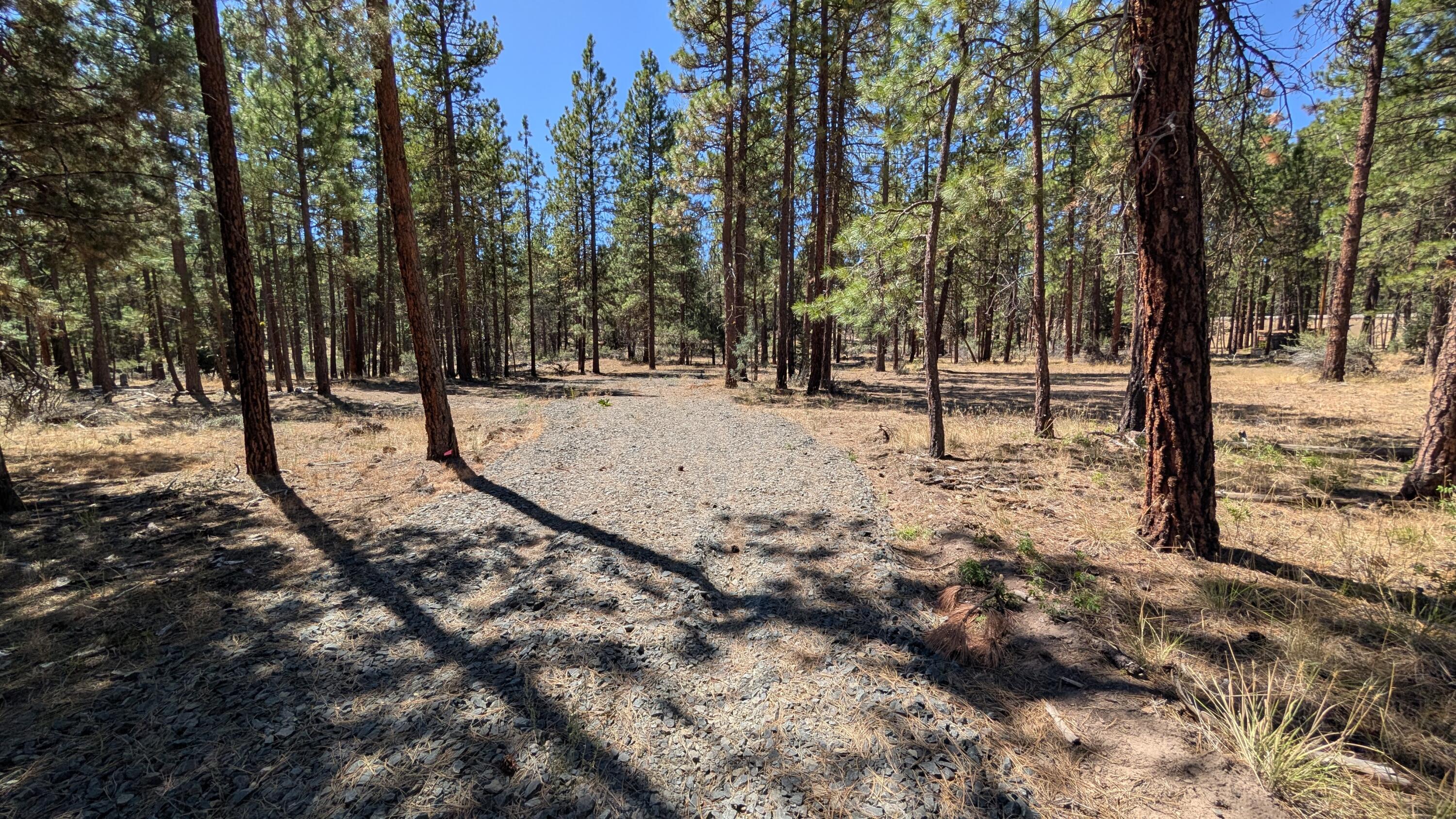 Over 5 1/2 acres with a homesite and driveway already roughed in. This property has easy access to the highway and is just waiting for you to build on it! Level and plenty of pines for privacy. Power is close by. This one is a find! Owner is an Oregon licensed Realtor.