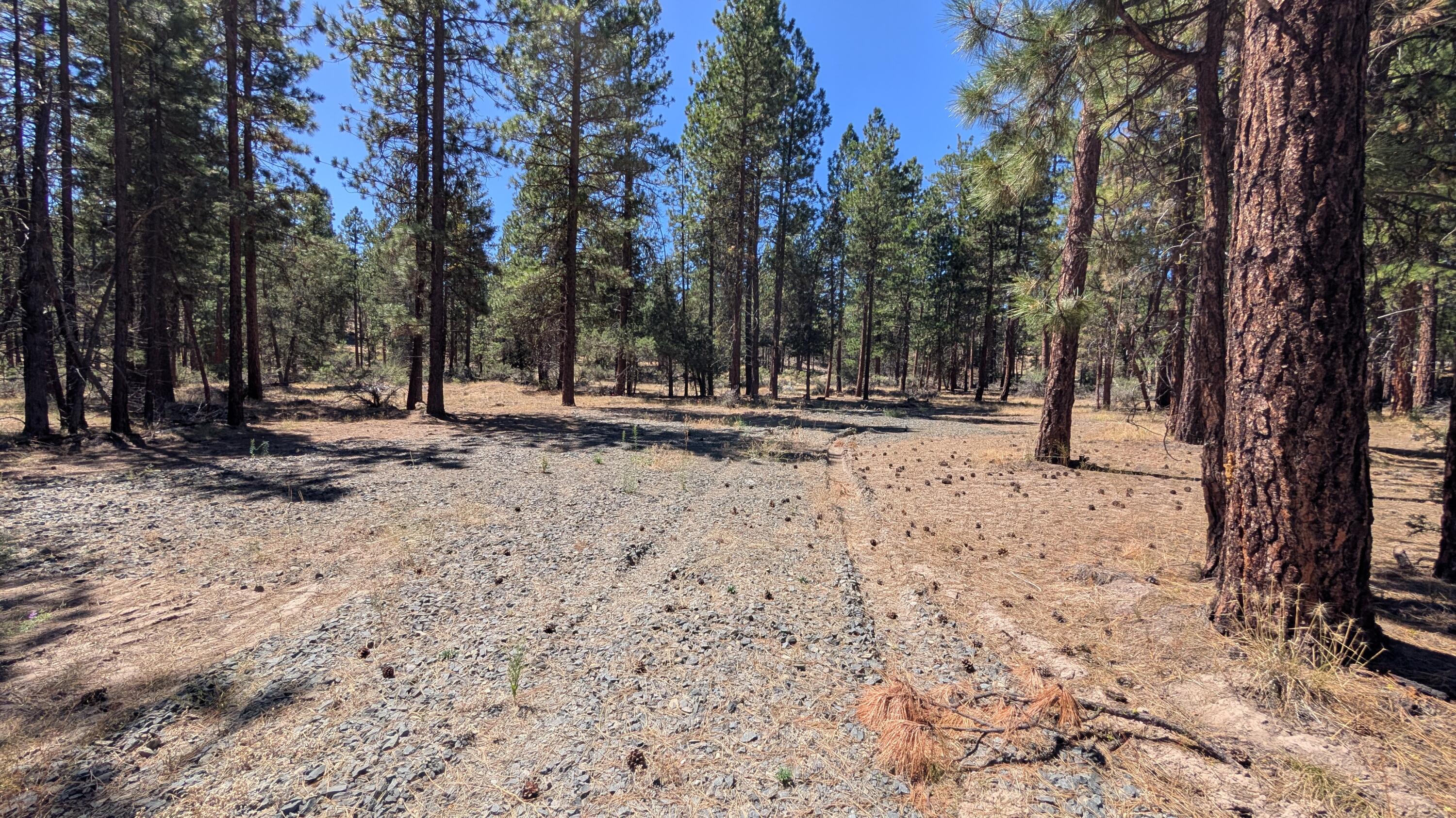 Klamath Forest Estates - Land