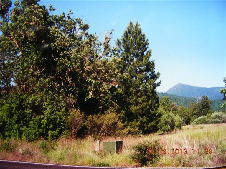 SELLER IS MOTIVATED! 5.89 acres level land. Here is the place to build your dream home. Only about 4 miles out of Cave Junction in a subdivision of nice homes. This land is level to slightly sloped - area of good wells. Alternative system approval for septic - shared well with well agreement. Electric & phone to property at the street.