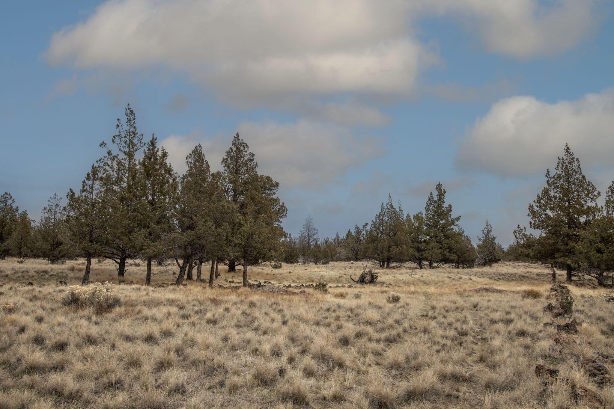 3 Rivers Rec - Land