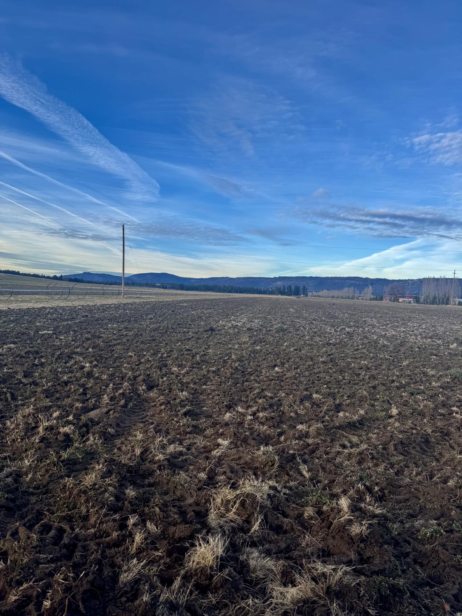 N/A - Farm