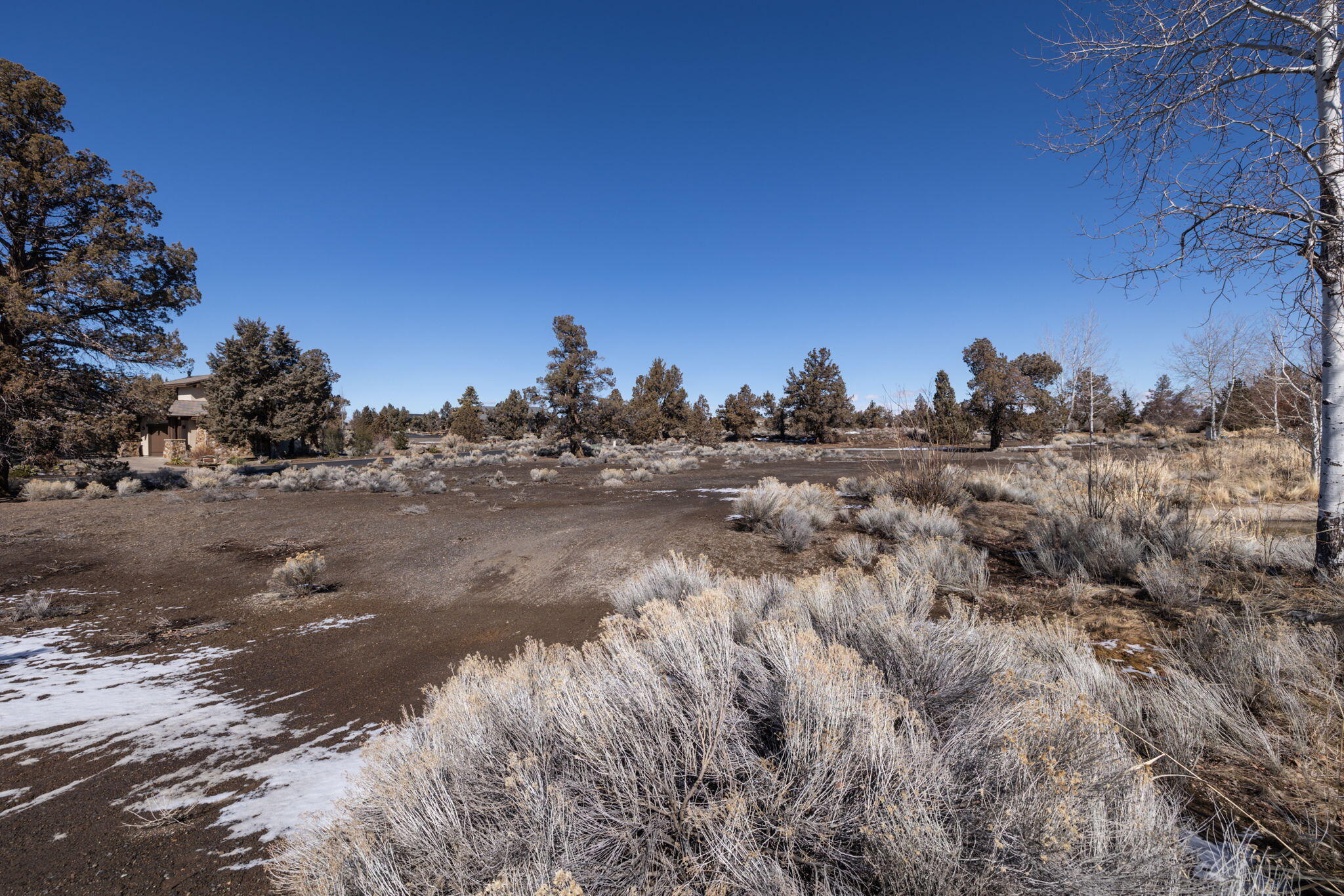 Pronghorn - Land