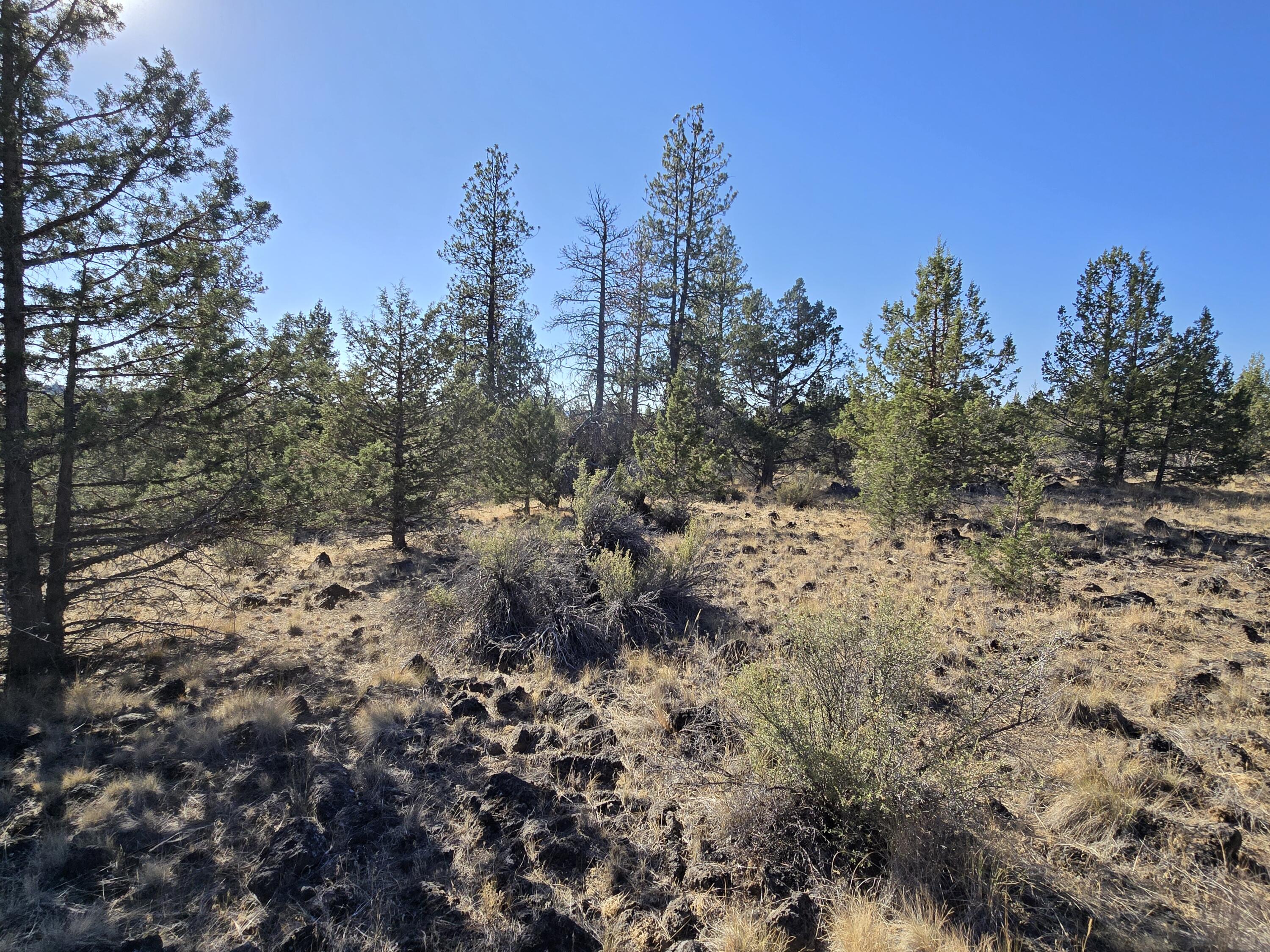 Come see this beautiful parcel located in the Klamath Falls Forest Estates. This lot has trees throughout, lots of native vegetation, and plenty of opportunities to build your dream home. Located just a short drive from the highway on a well-kept gravel road. The dense forestry surrounding it offers privacy, while the convenient location allows easy access to major roads. Zoned R2, there should be little trouble getting permits to build. Don't miss out on your chance to own this little slice of paradise!
