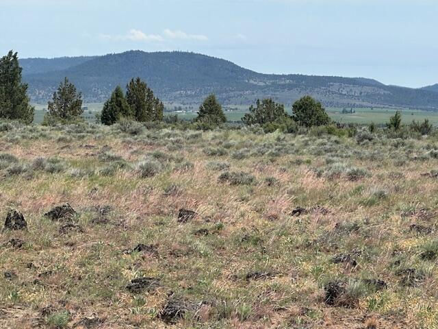 Nimrod River Park - Land