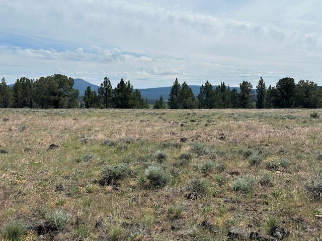 Nimrod River Park - Land