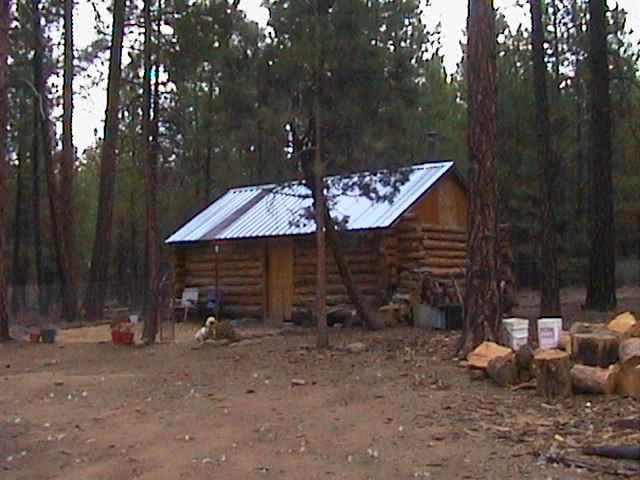 Land Parcel With Well And Storage (Cabin). Septic Approval But Not Installed. Power To Edge Of Graveled Road Frontage. 2.3 Acres In The Pines.