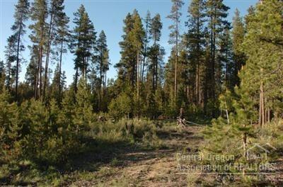 Own one of two side-by-side sites in magical Wagon Trail Ranch. Cul-de-sac location near the community pool, clubhouse and Little Deschutes River access. Quiet pine-covered community 10 minutes from LaPine in the middle of Central Oregon's recreational empire.