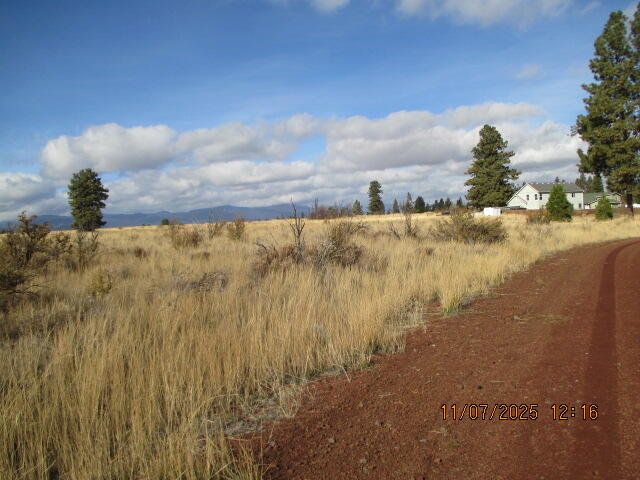 Oregon Shores - Land
