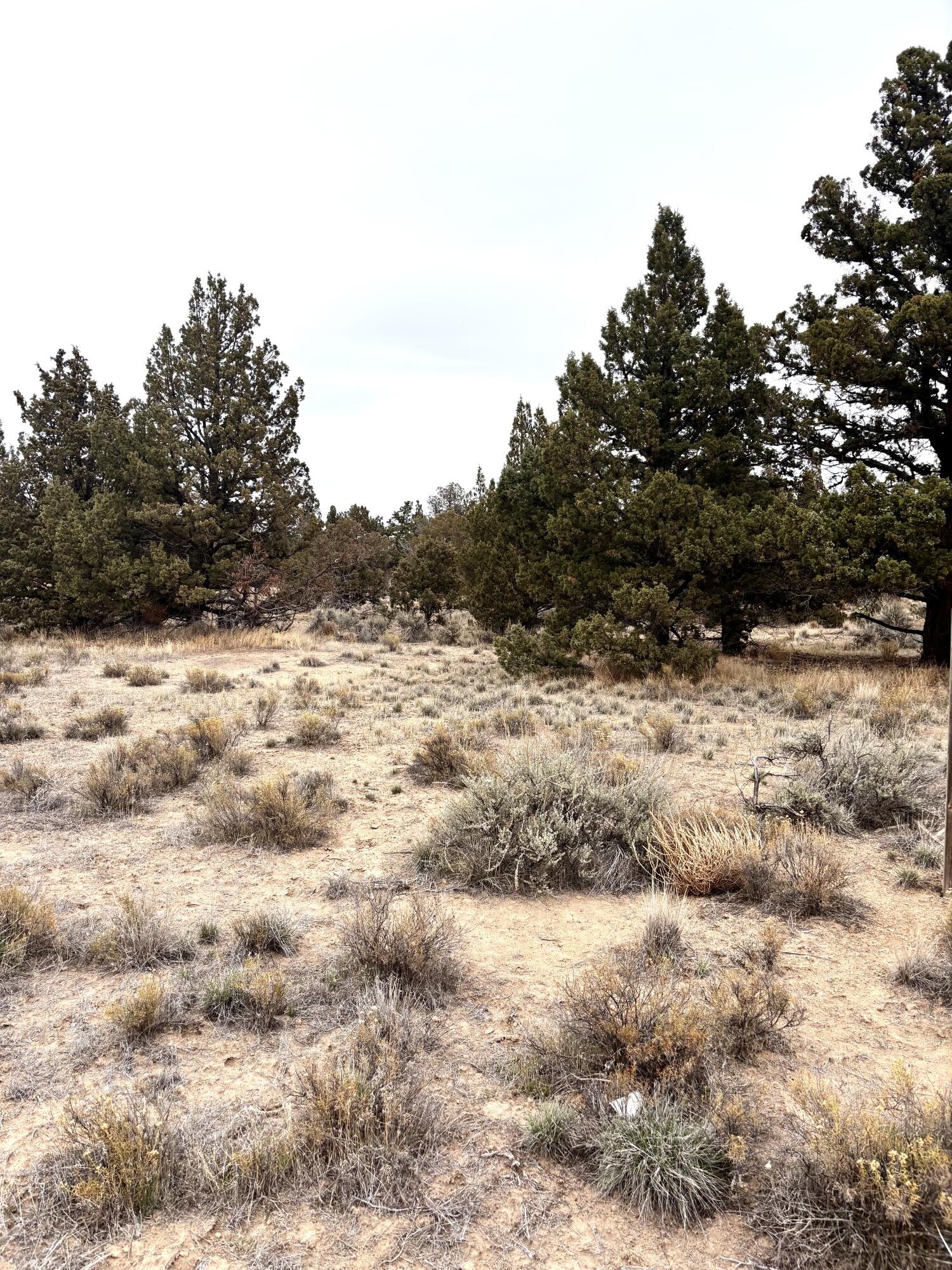 Prineville Lake Acres 2 - Land