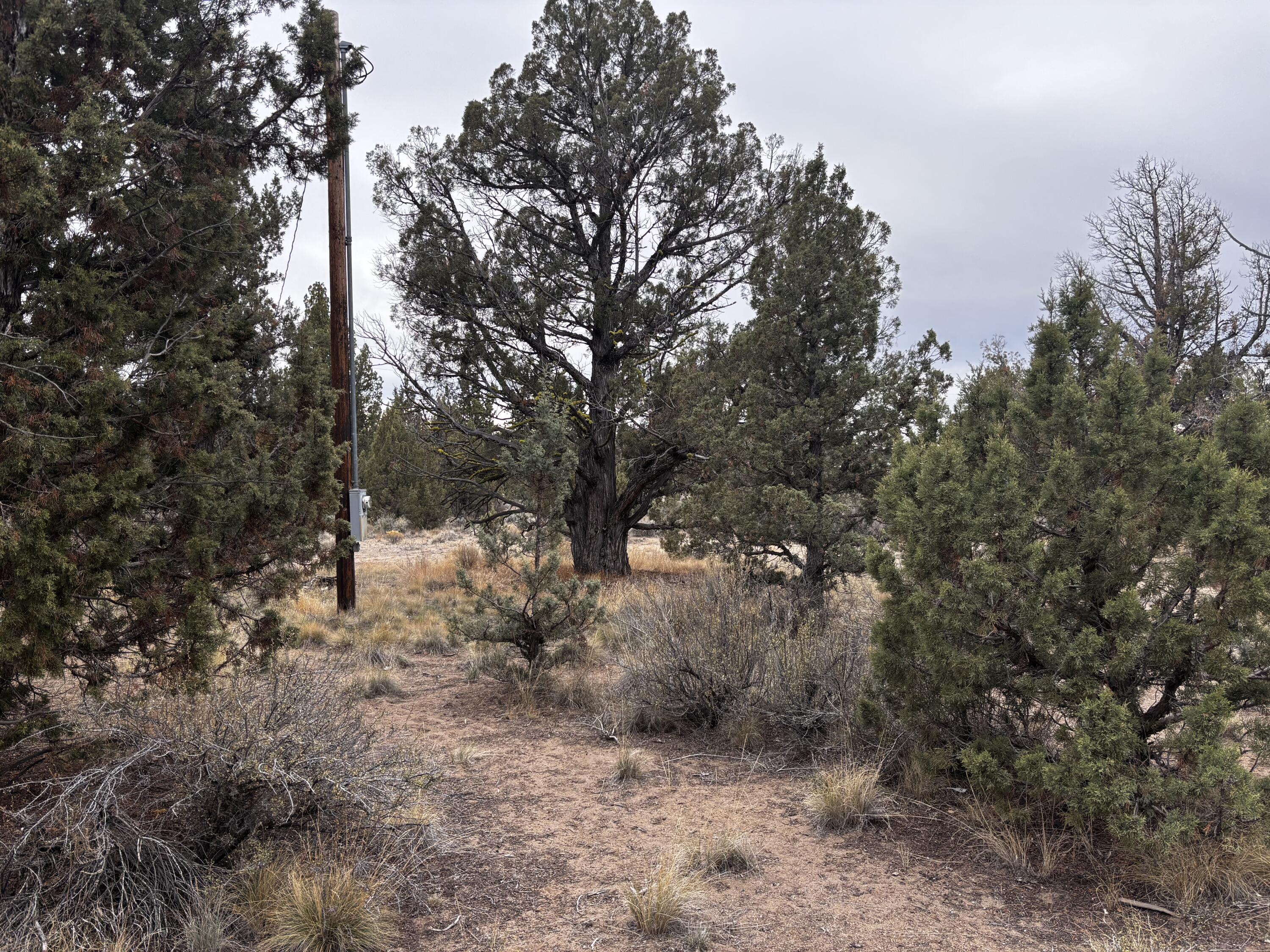 Prineville Lake Acres 2 - Land