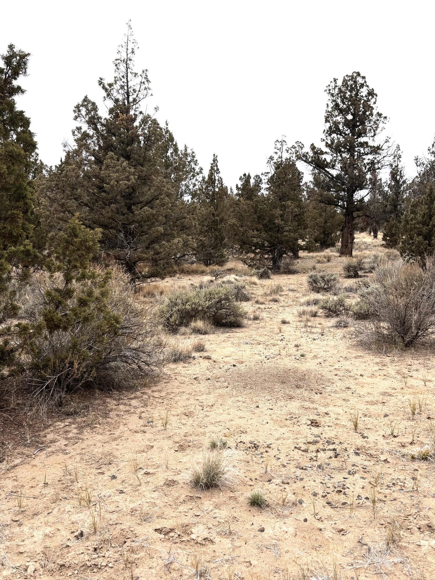 Prineville Lake Acres 2 - Land