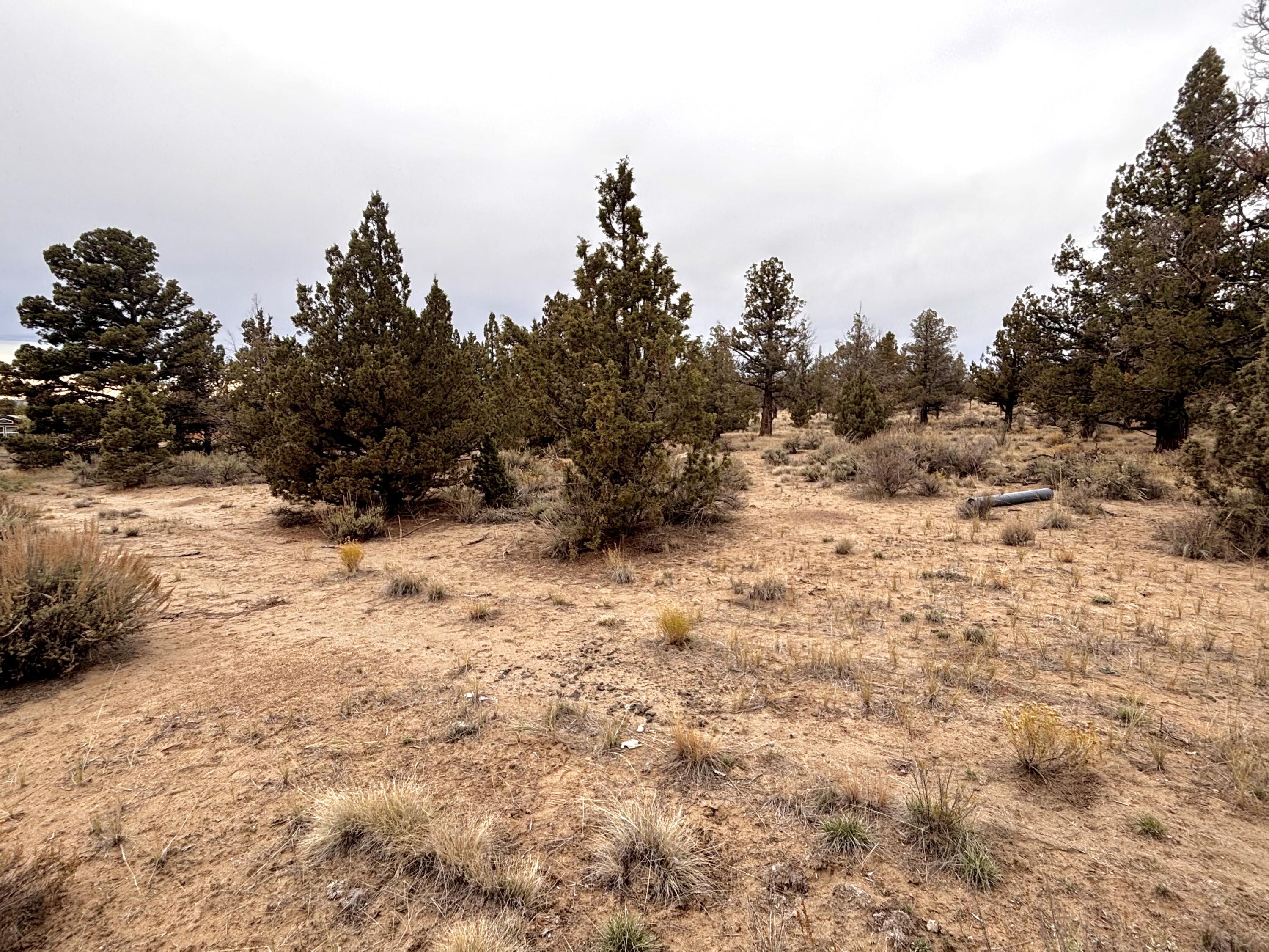 Prineville Lake Acres 2 - Land
