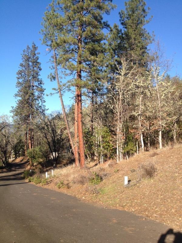 Builders Special!!!! Acreage listed is a total of the 4 lots. Great opportunity to buy 4 lots in Shady Cove. All 4 lots must be Sold together. Located in the Manzanita Hills Subdivision. The smallest lot is .34 of an acre and the other three are .54, .57, and .68 of an acre. Water is a shared community well with 10,000 gallon holding tanks. Power, City Sewer and water hook ups at the edge of the lots per seller. There is also irrigation rights for each lot. Nice view lots ready to be built on. This is a package deal for the four lots.