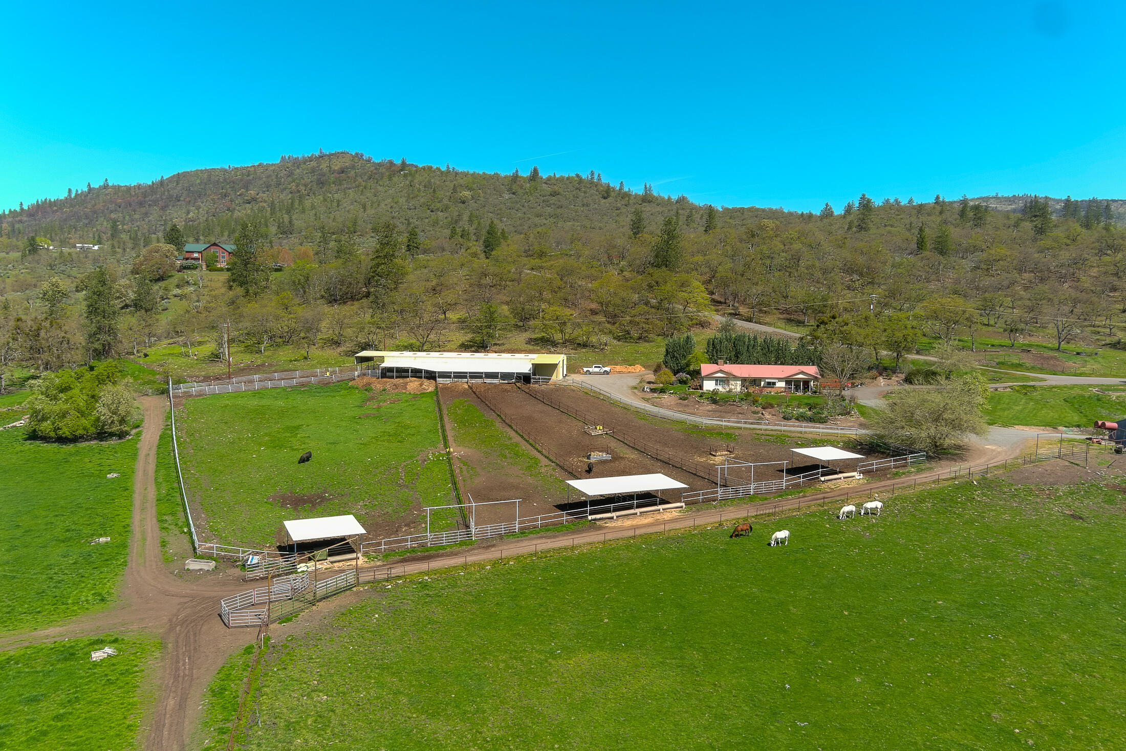N/A - Farm