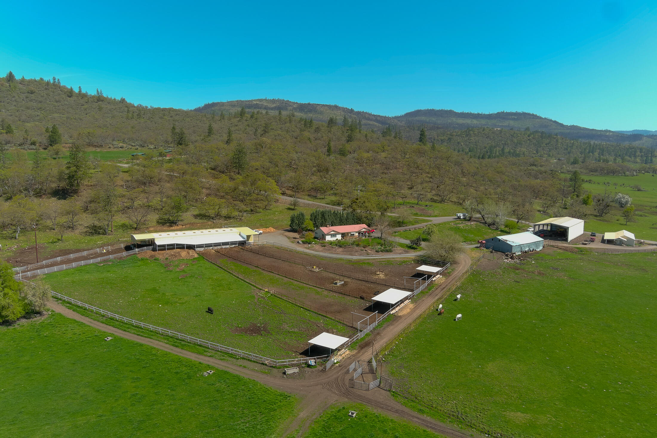 N/A - Farm