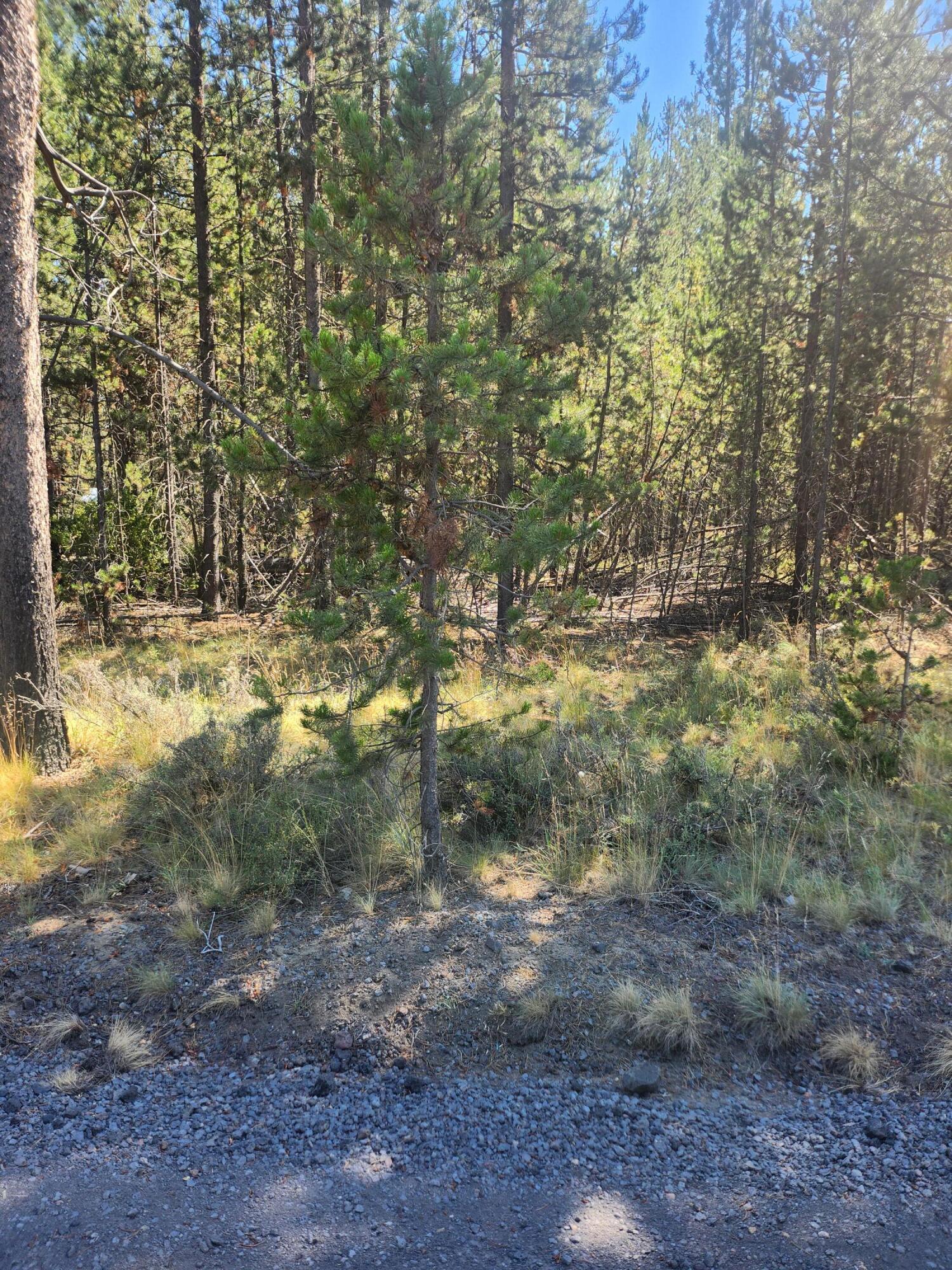 Deschutes River Recreation Homesites - Land