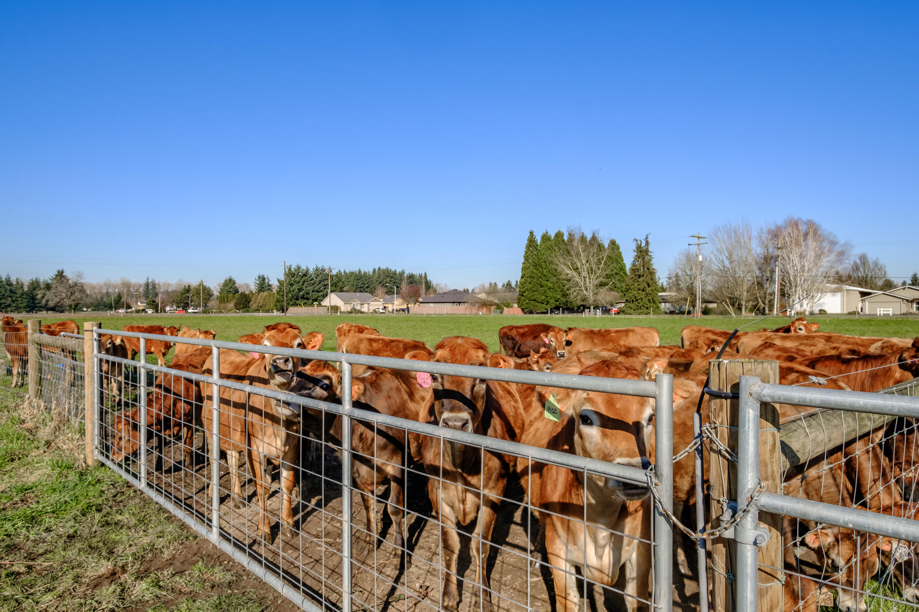 N/A - Farm