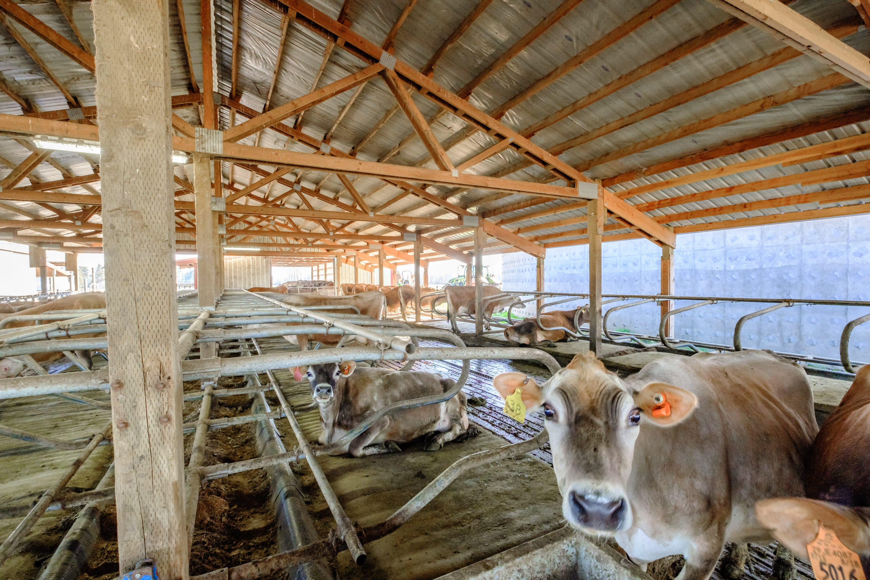 N/A - Farm