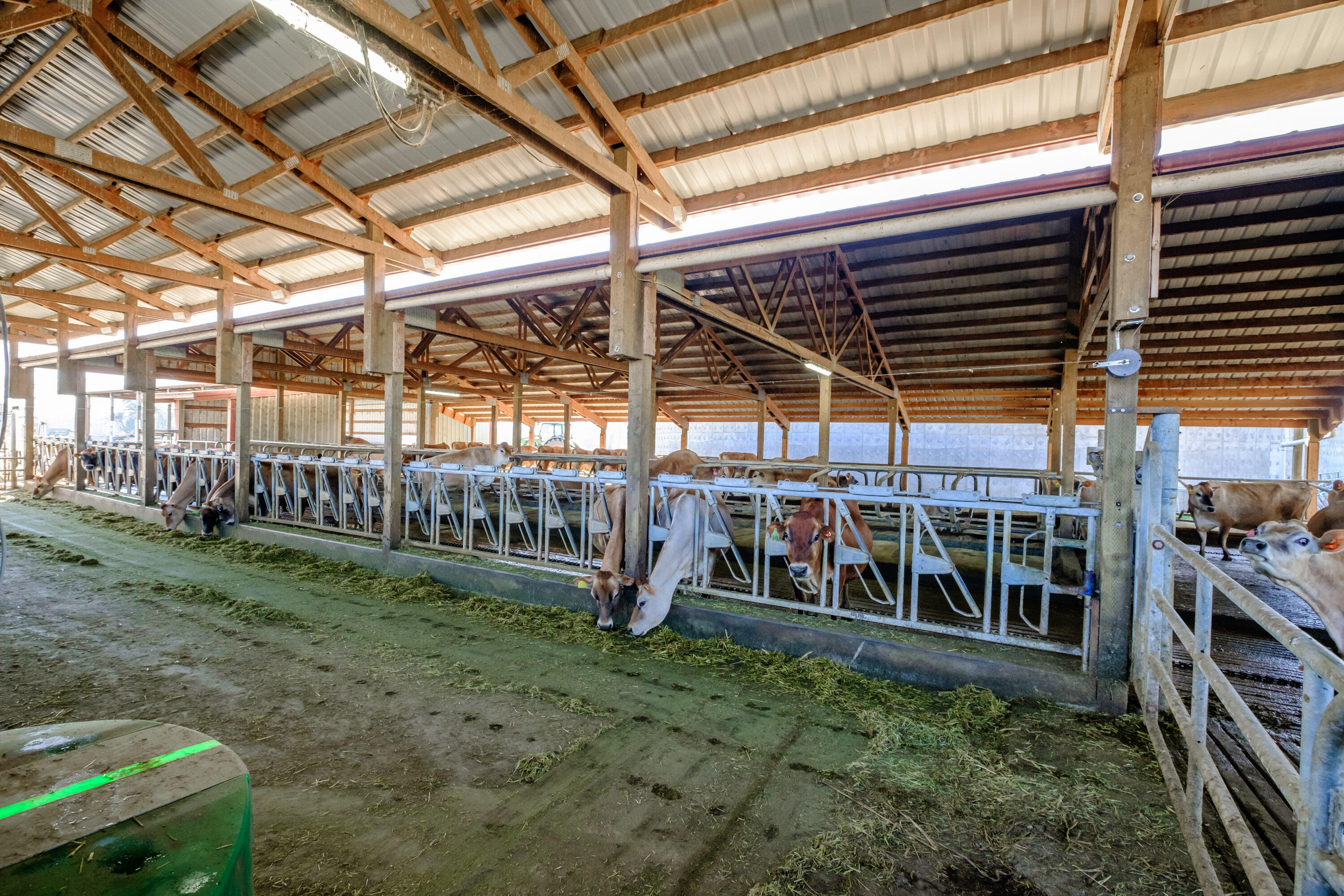 N/A - Farm