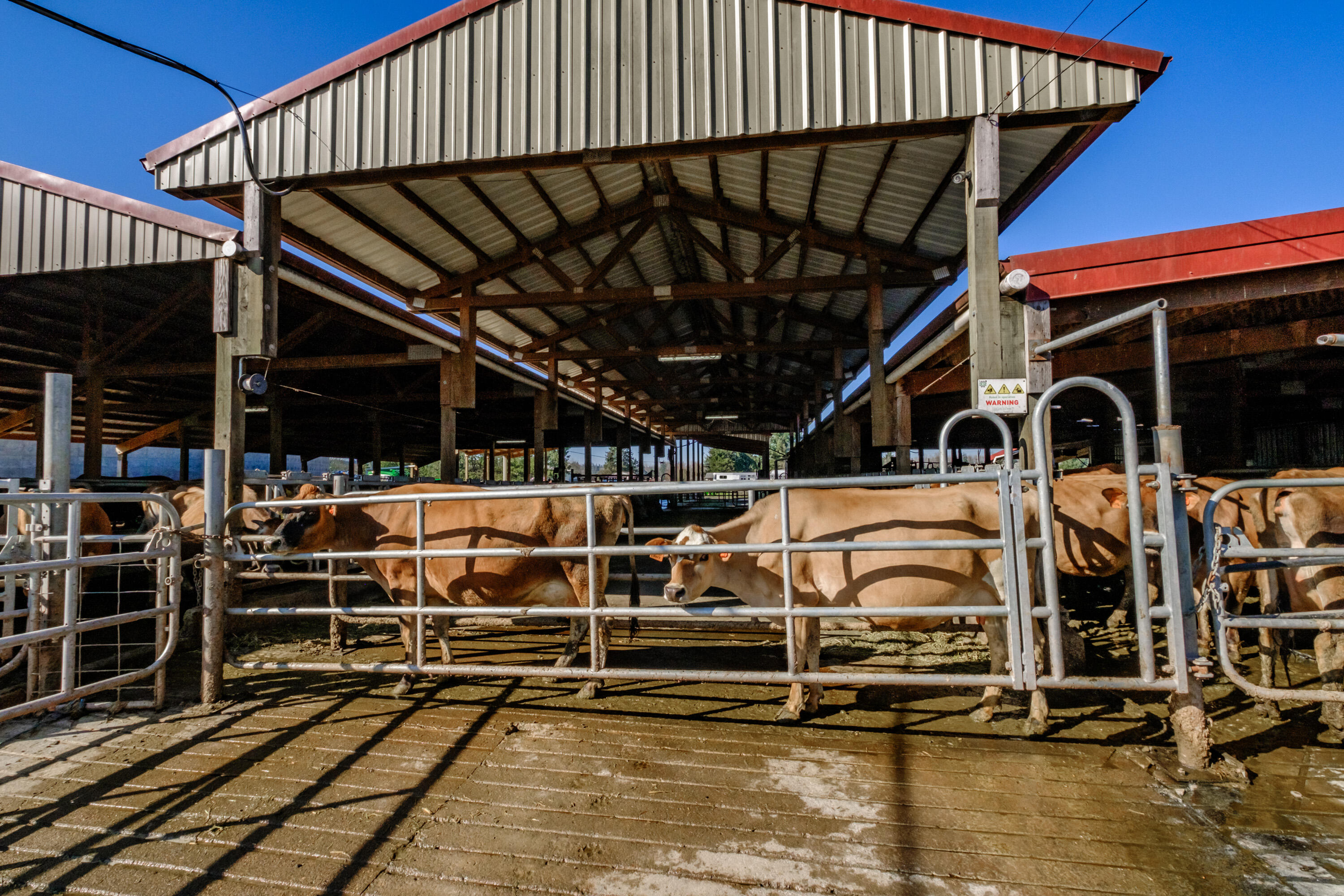 N/A - Farm