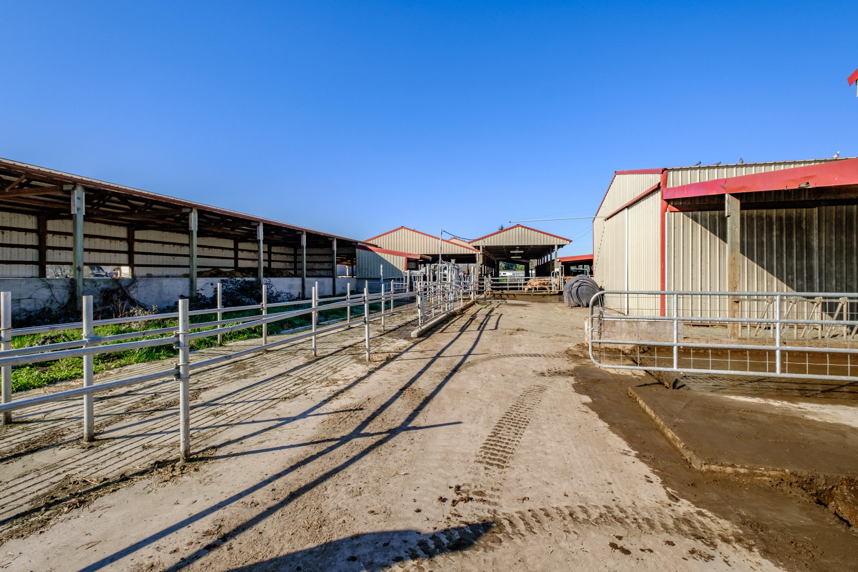 N/A - Farm