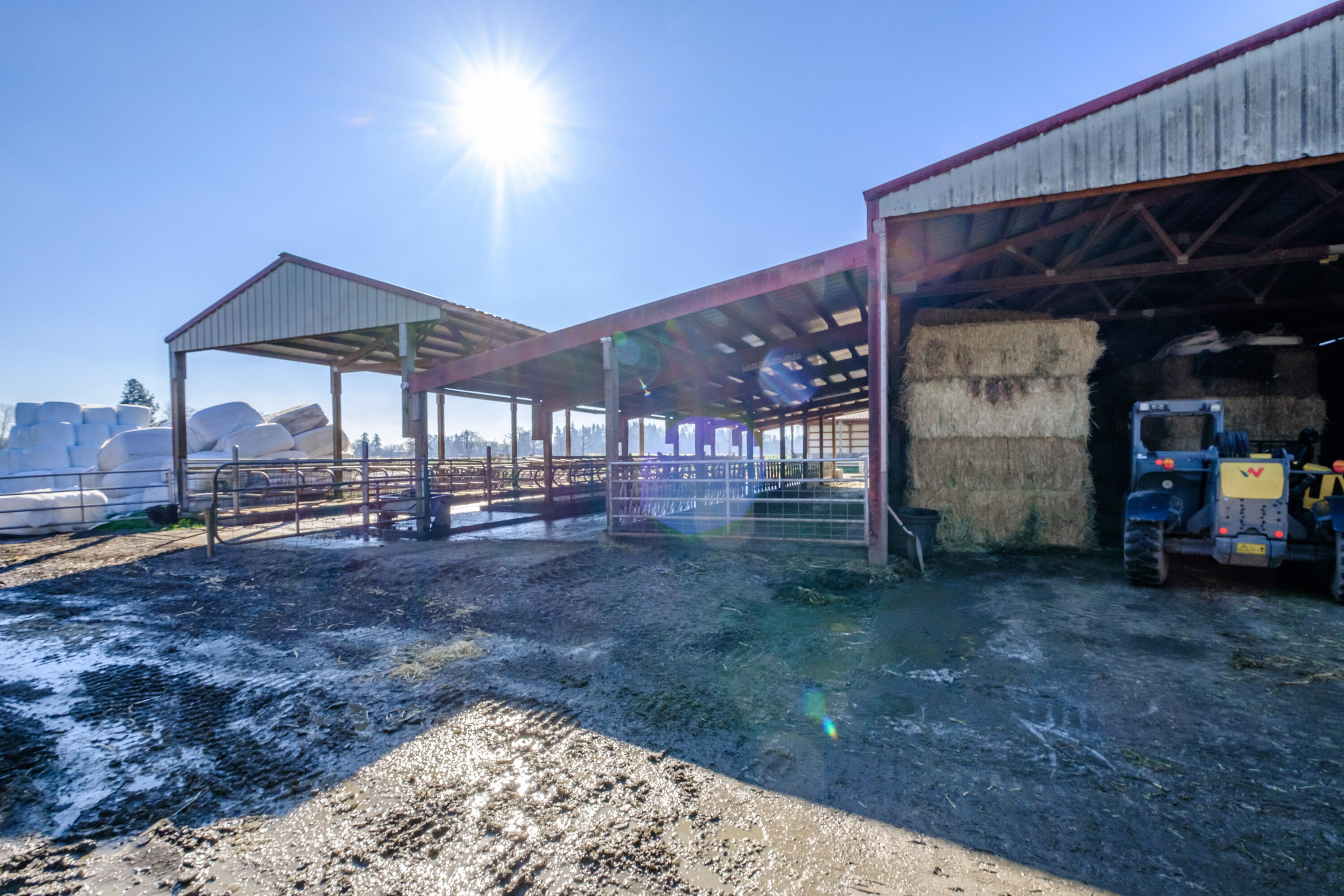 N/A - Farm
