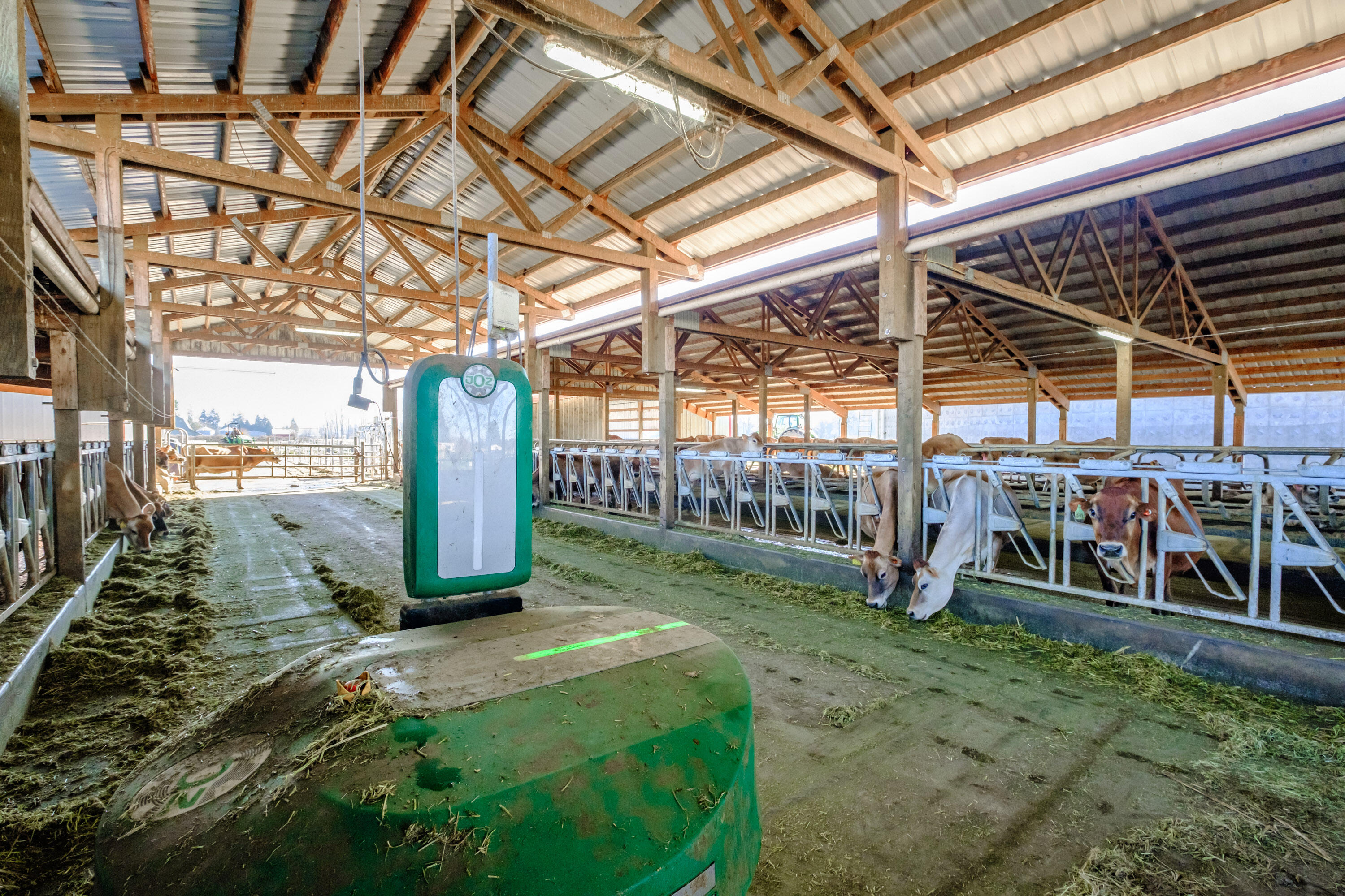 N/A - Farm