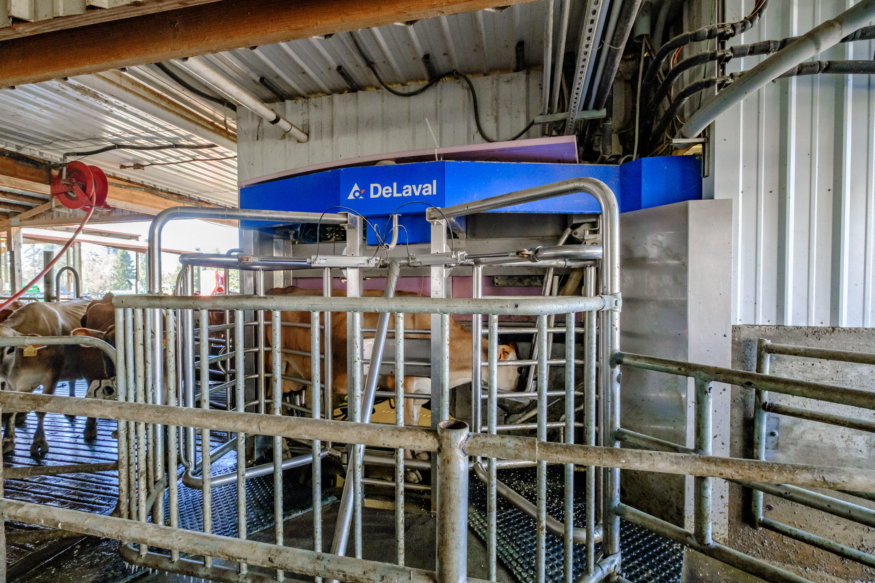 N/A - Farm